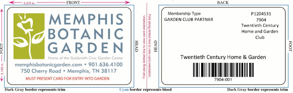 Plastic Card 17