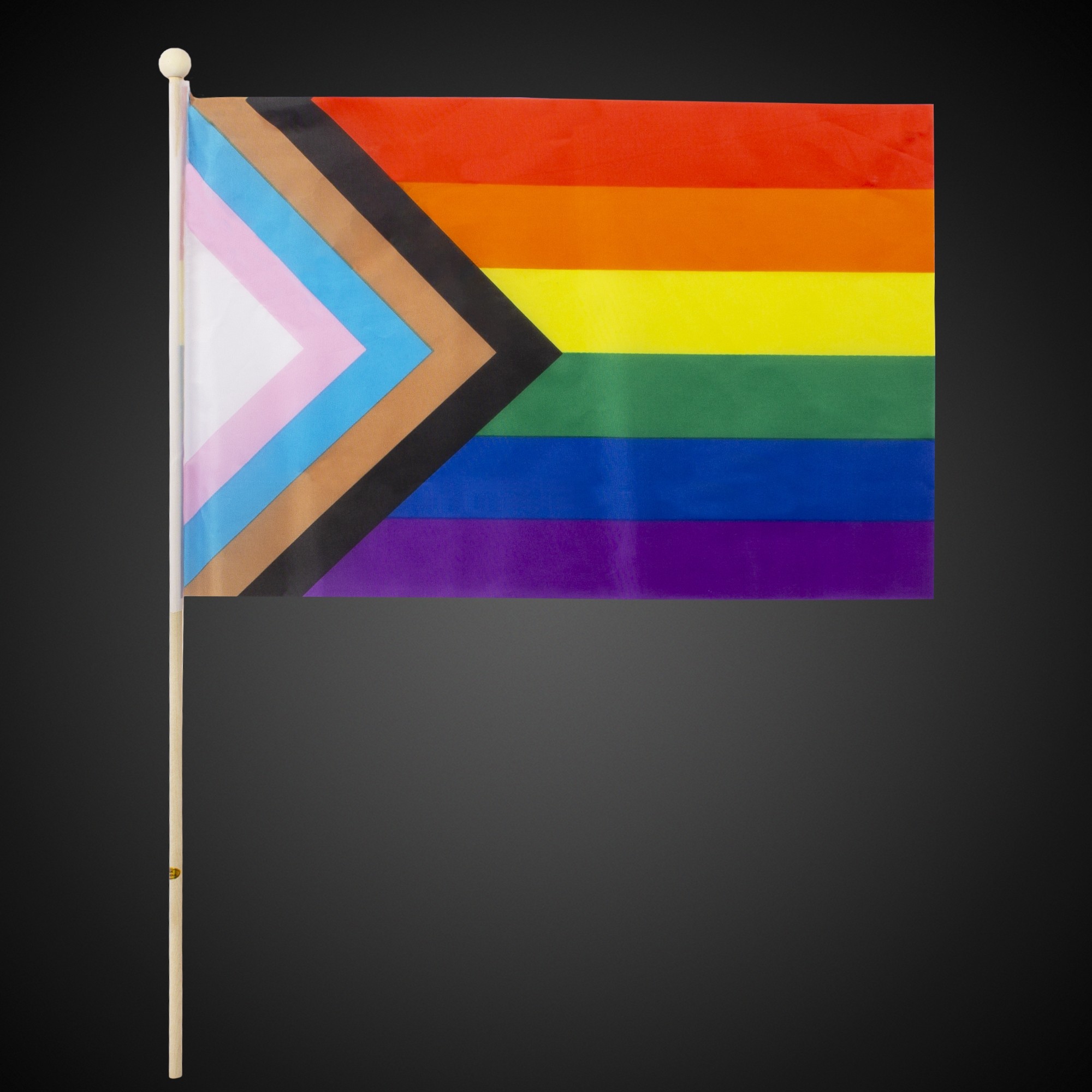 Progress Pride Rainbow Flag 12"x18"
