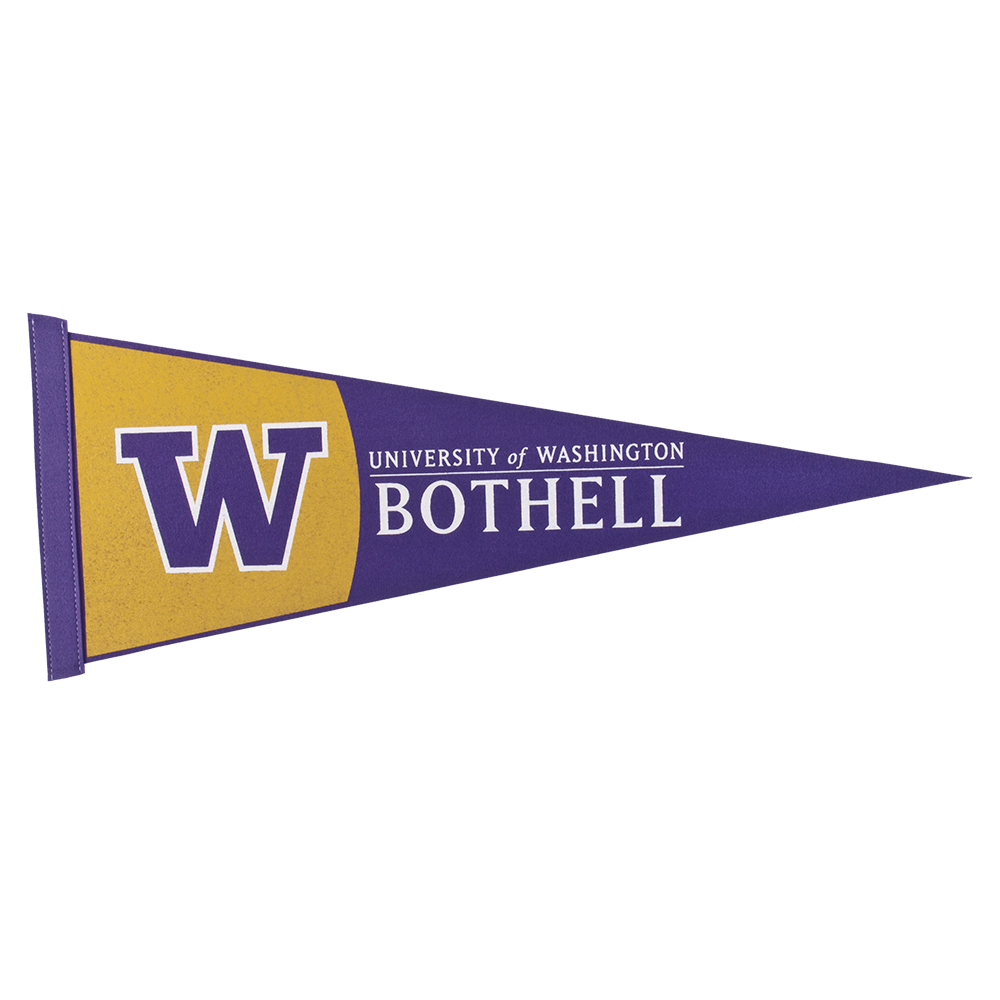 9" x 24" Colored Felt Pennant 19