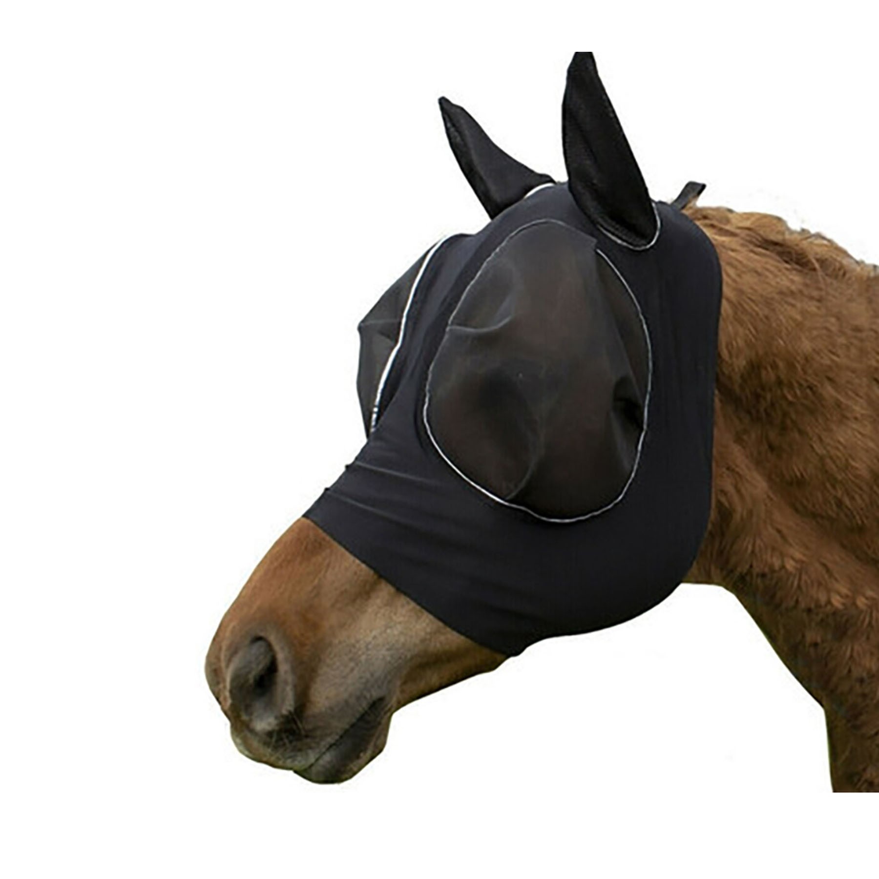 Horse Fly Mask 3