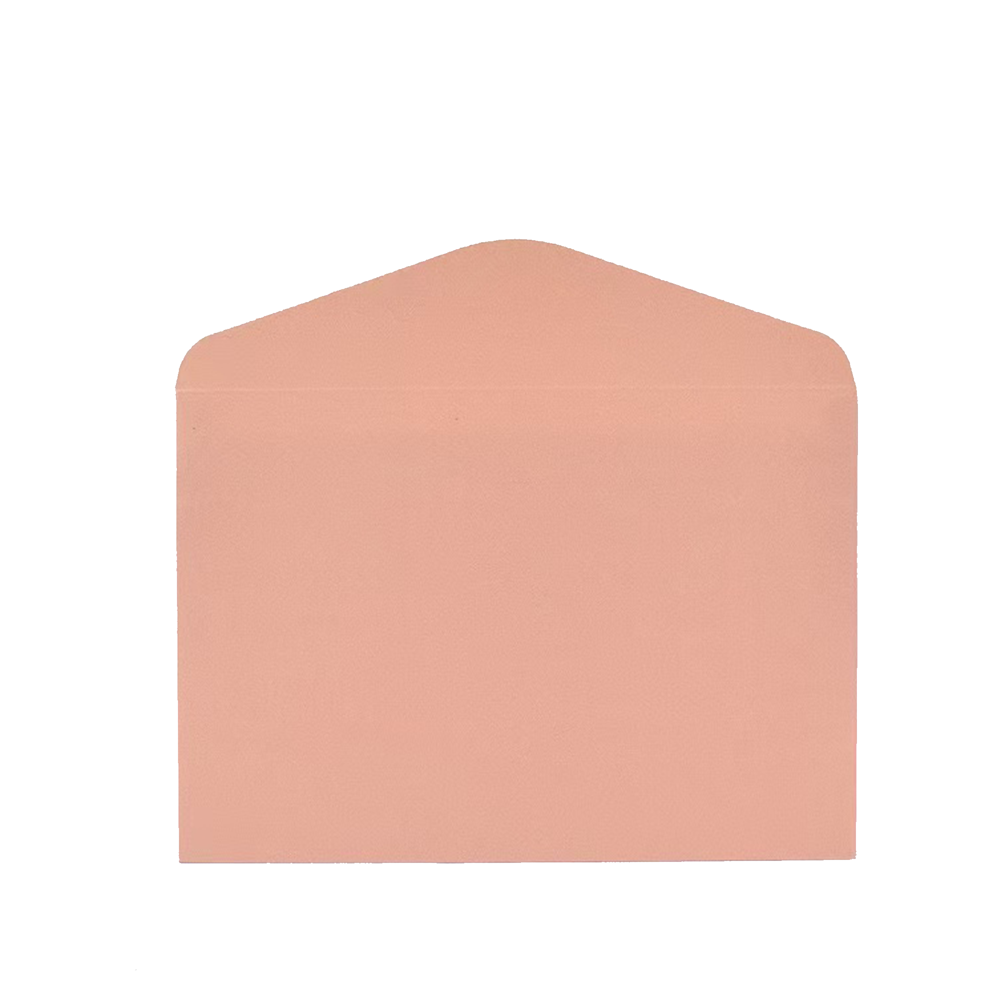 Premium Business Gold Embossed Envelope 4