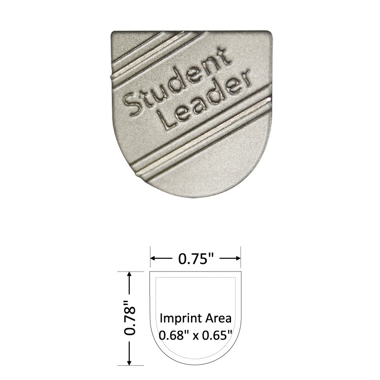 Shield 0.75" Antique Nickel Etched Lapel Pin - USA Made 2