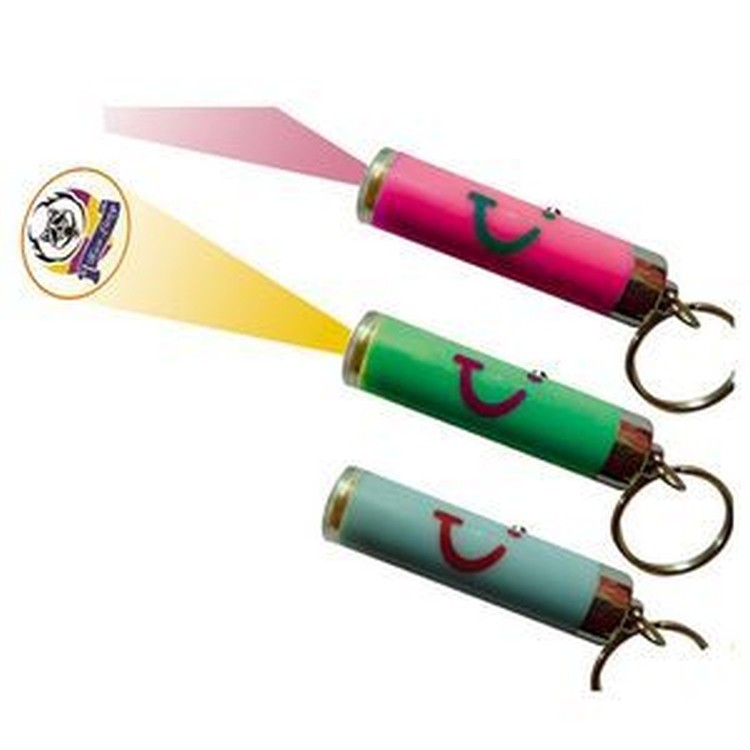 Projection Logo Key Chain 2