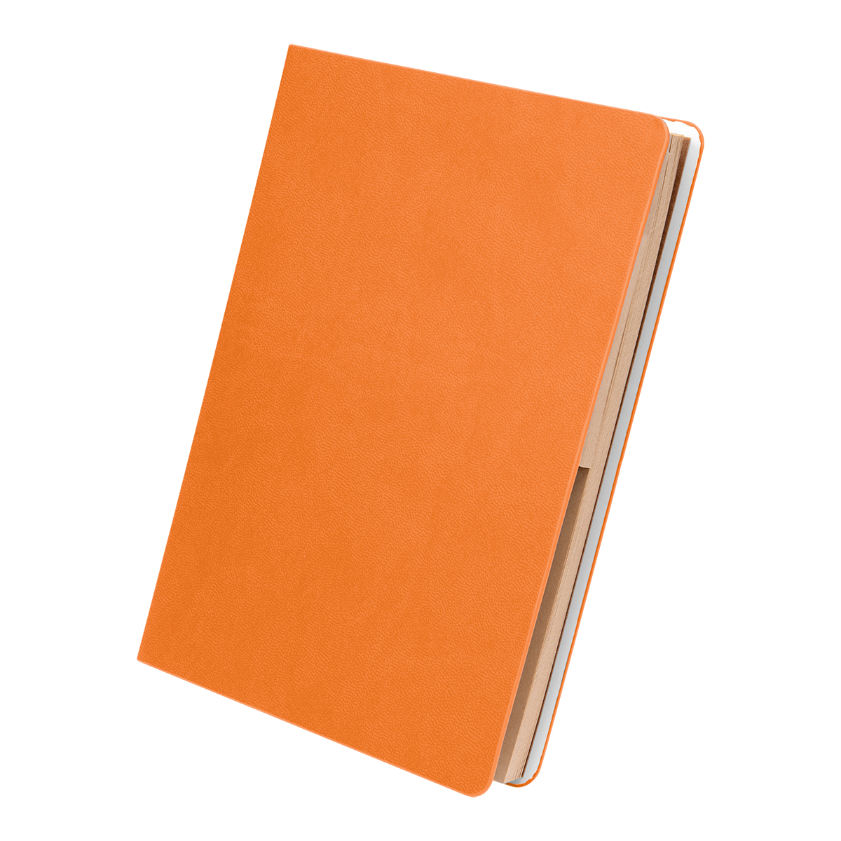 Theo Notebook with Kraft Paper and Sticky Notes 21