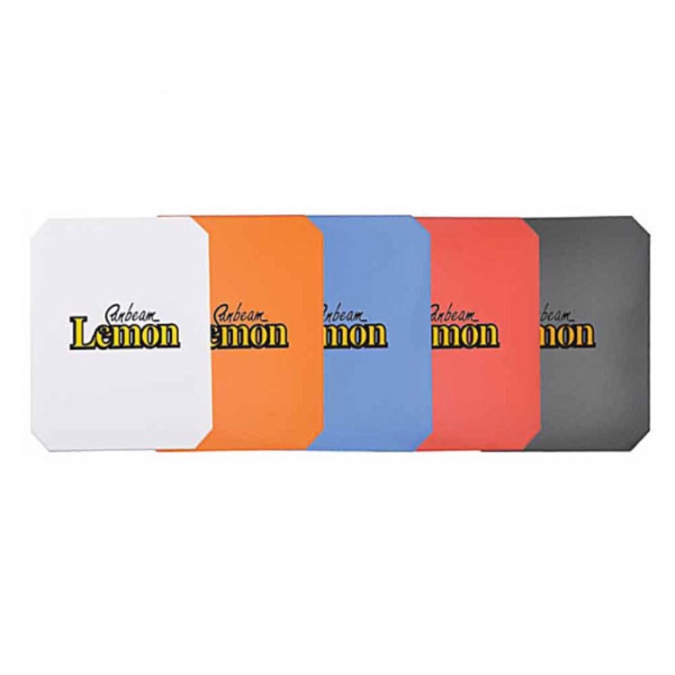 Ice Scraper 1