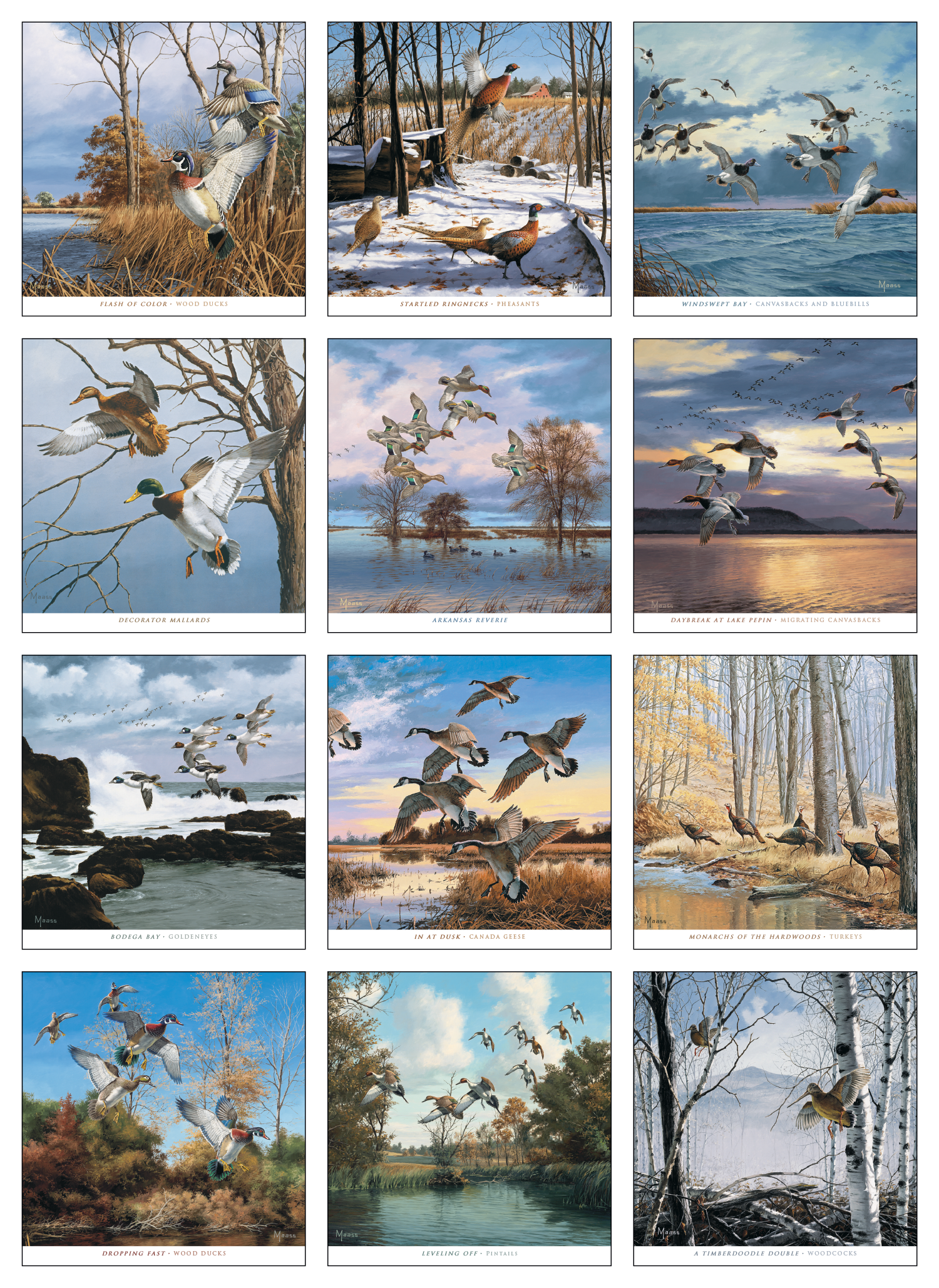 HotLine® Products David Maass Executive Calendar 9