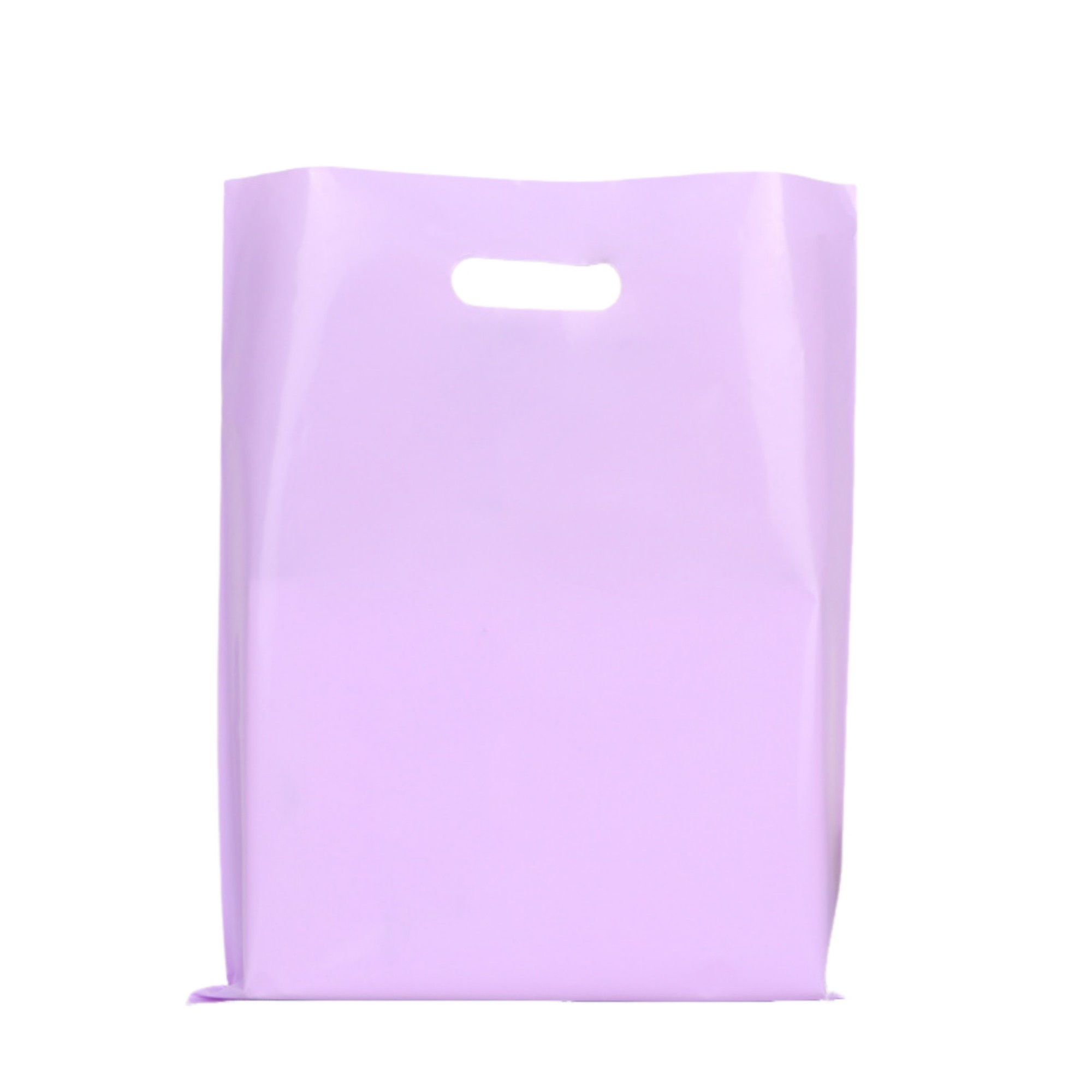 Polyethylene Die Cut Plastic Bag 9.8" x 13.8" 2