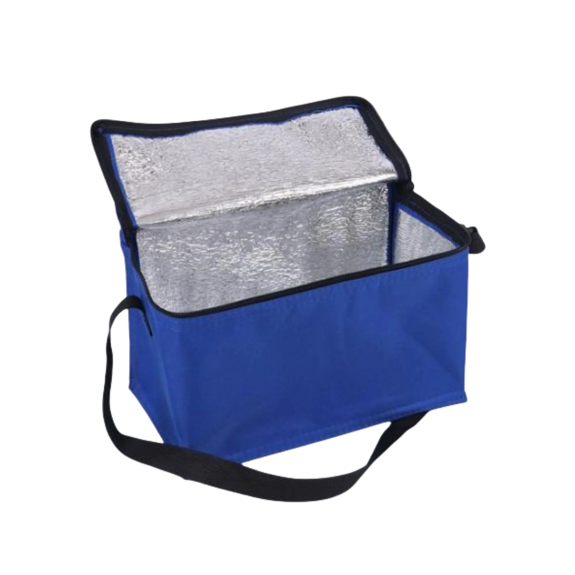 Non-Woven Insulated Bag Picnic Daily Use 4