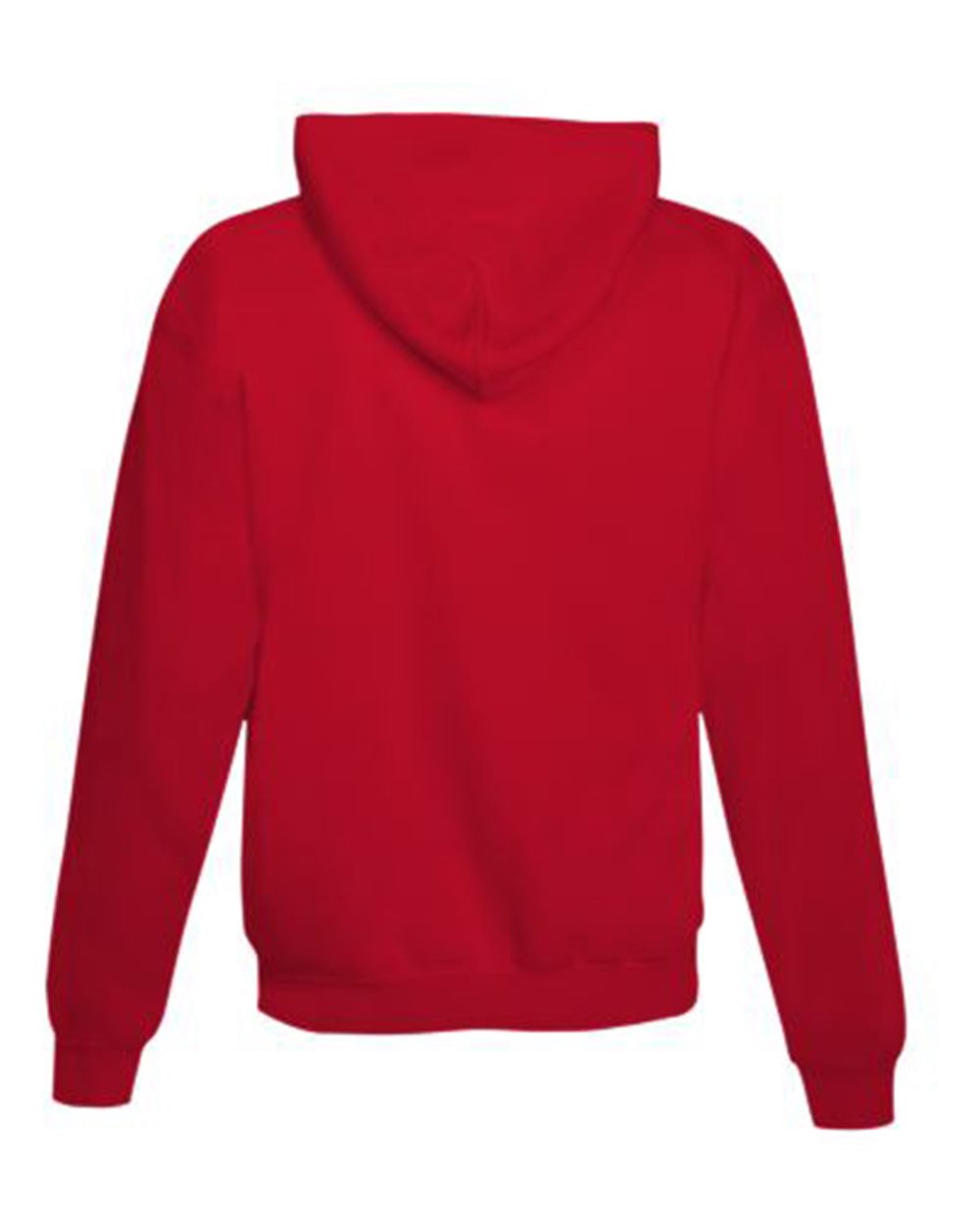 Unisex EcoSmart® Hooded Sweatshirt - P170 485