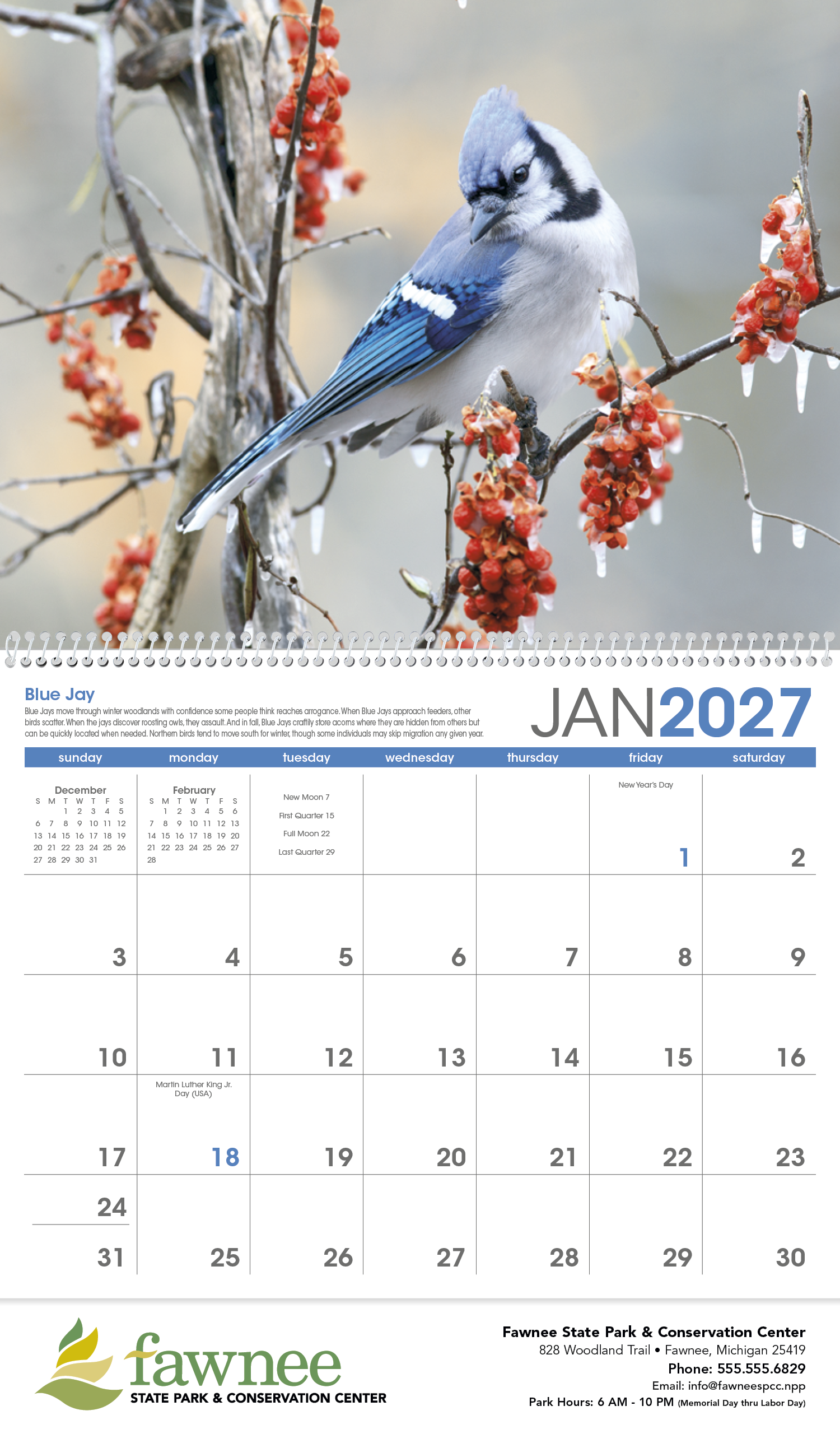 Triumph® Calendars Birds Calendar 25