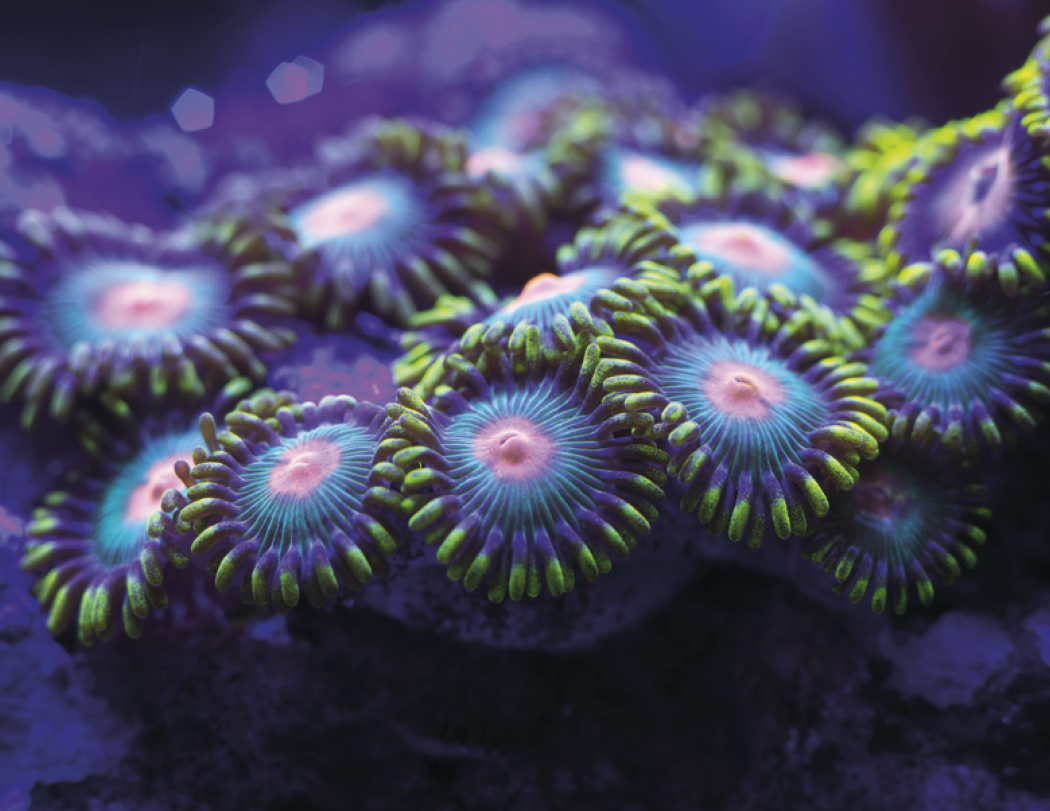 Good Value™ Ocean Glory - Stapled Calendar 68