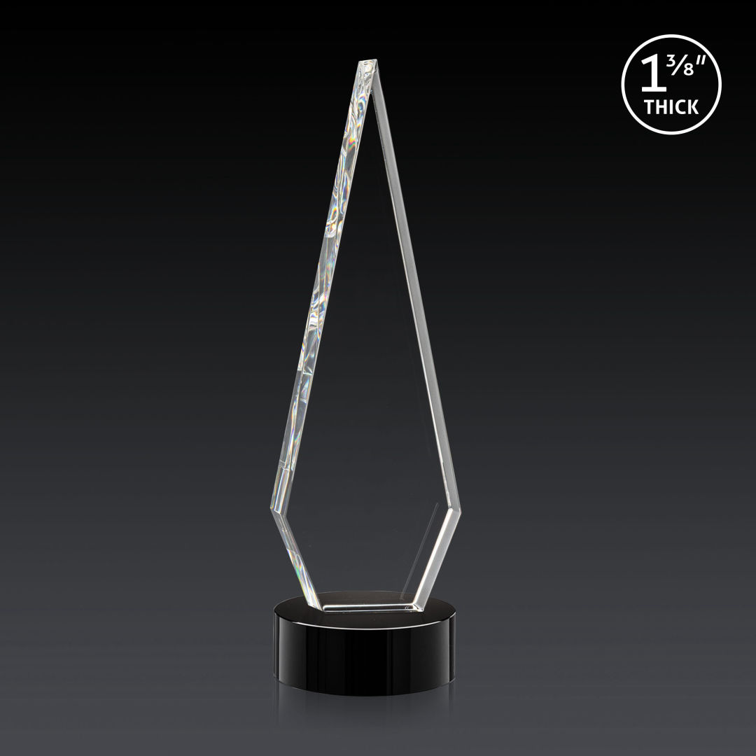 Springfield 3D Award on Stanrich Base - Black 6