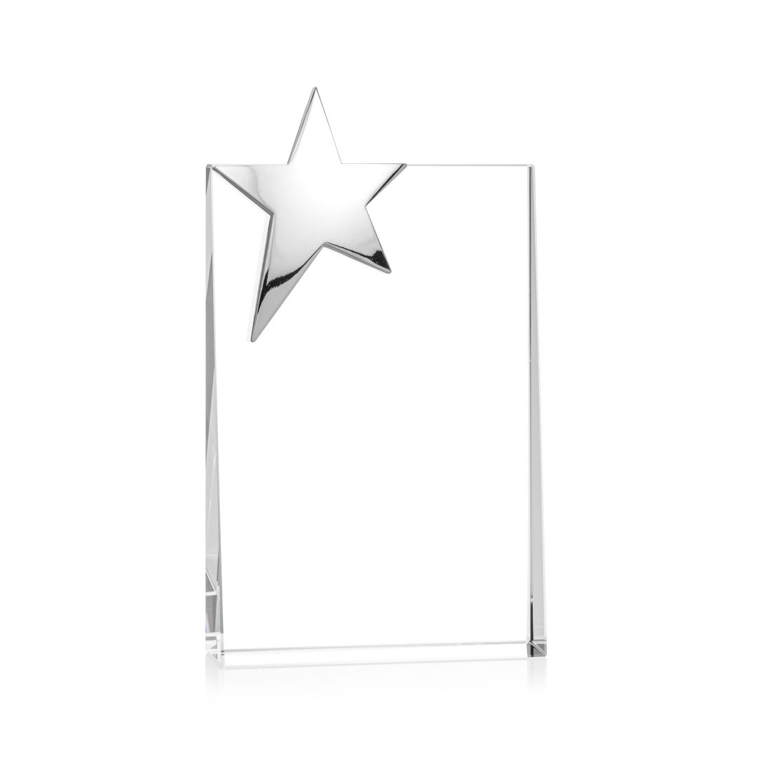 Denham Star Award - Silver 6