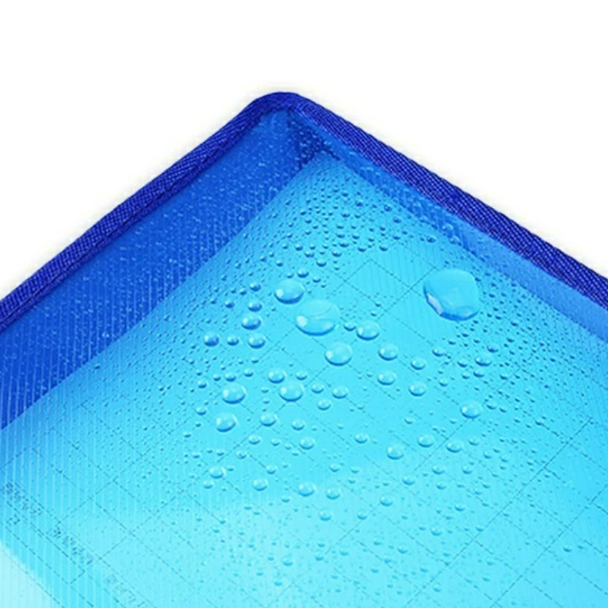 A4 Plastic Button File Folder with Mesh and Label Pocket 1