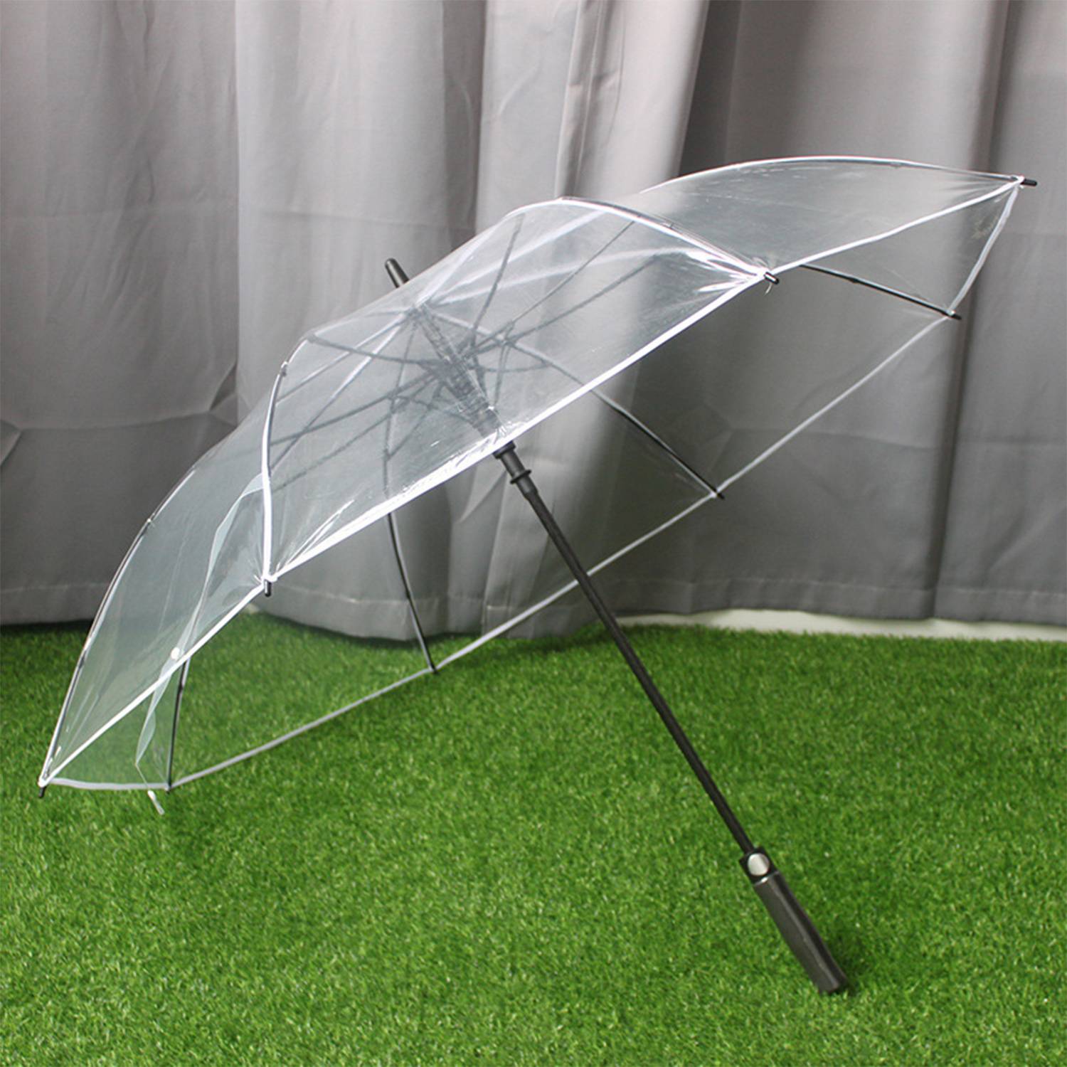 Clear Umbrella 4