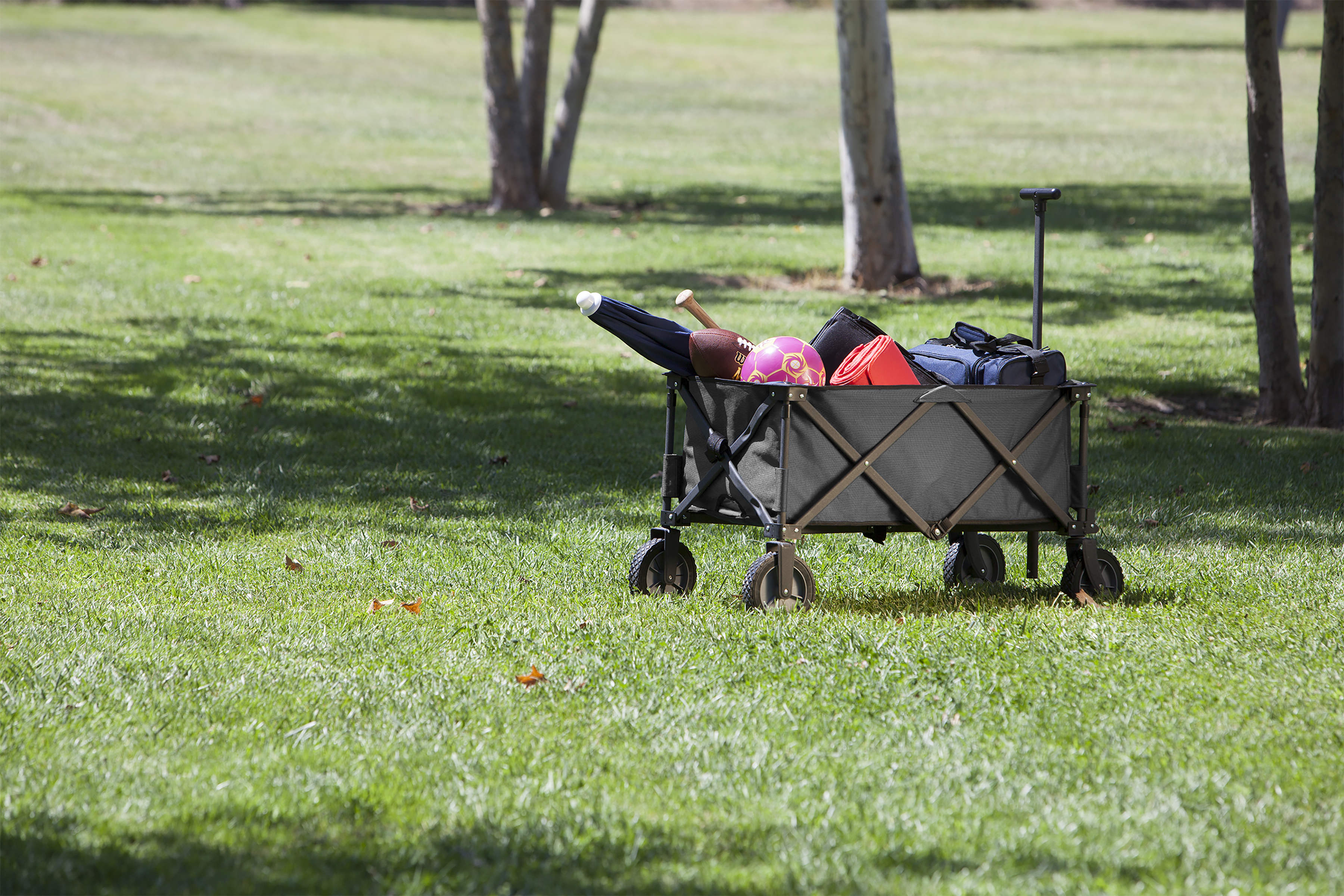 Adventure Wagon Portable Utility Wagon 8