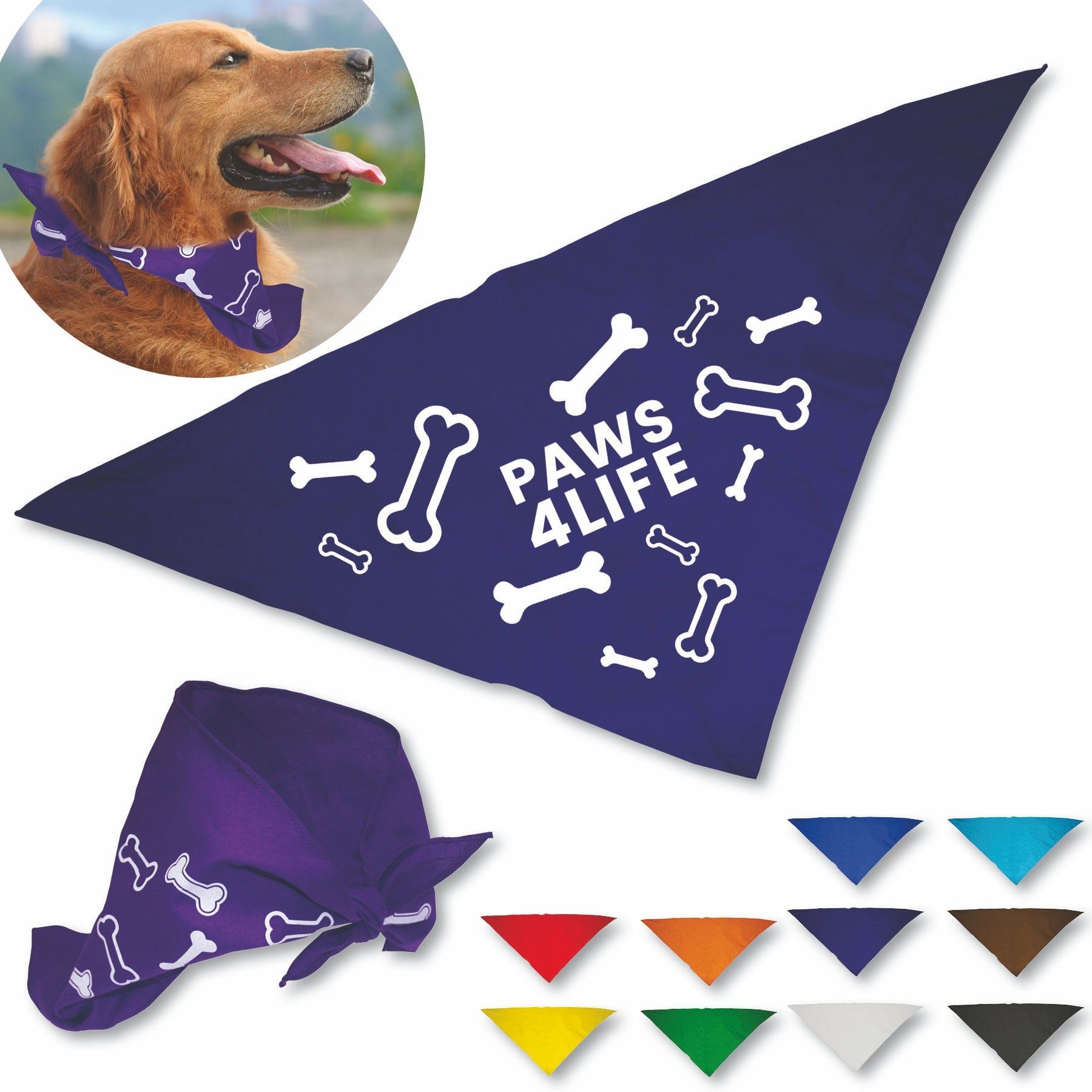 Dog Bandana 2