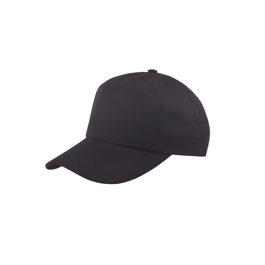 Solid Dad Hat 2