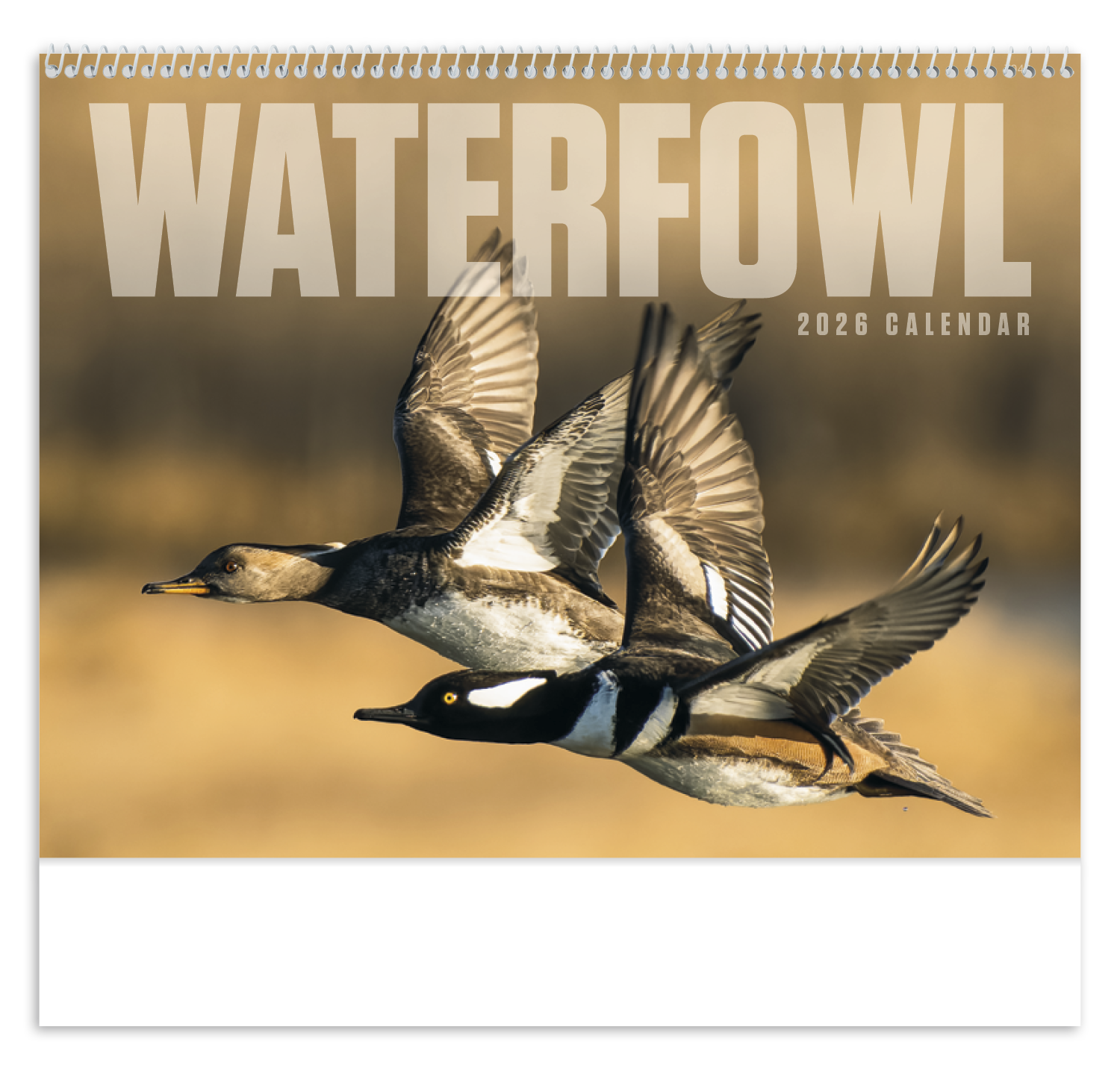 Good Value™ Waterfowl - Spiral Calendar 9