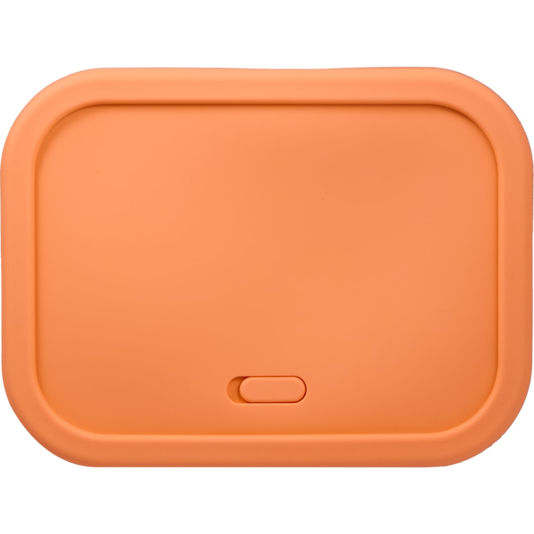 Silicone Food Storage Box with Air Valve 44oz 100