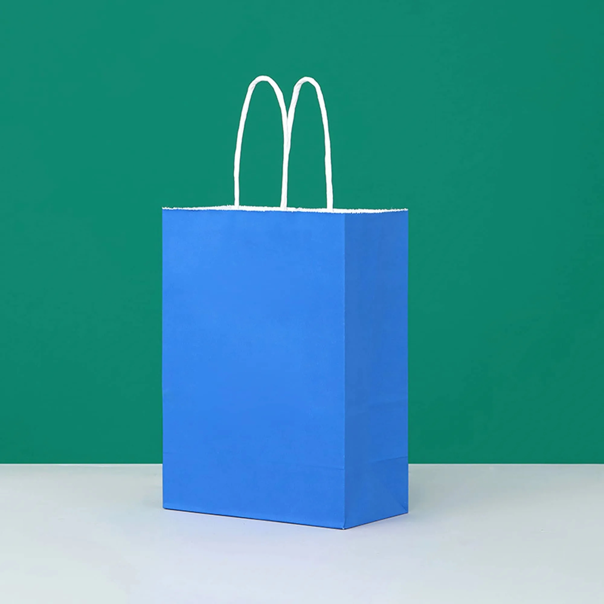 Custom Paper Shopping Bag 3