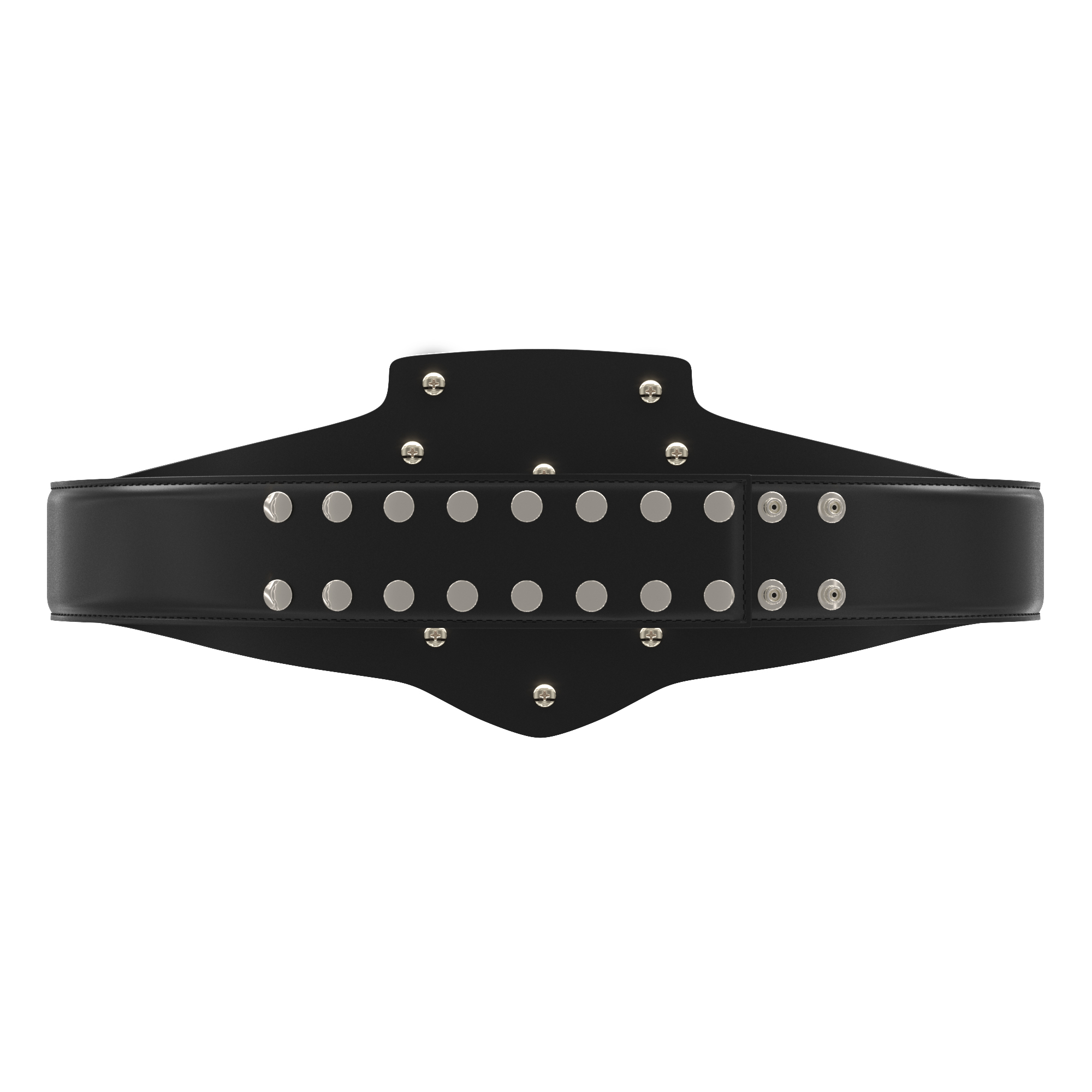 Express Vibraprint® Bright Champion Award Shield Belt 17