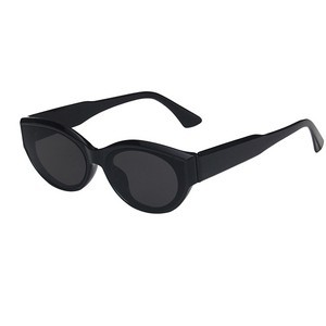 Classic Sunglasses 13