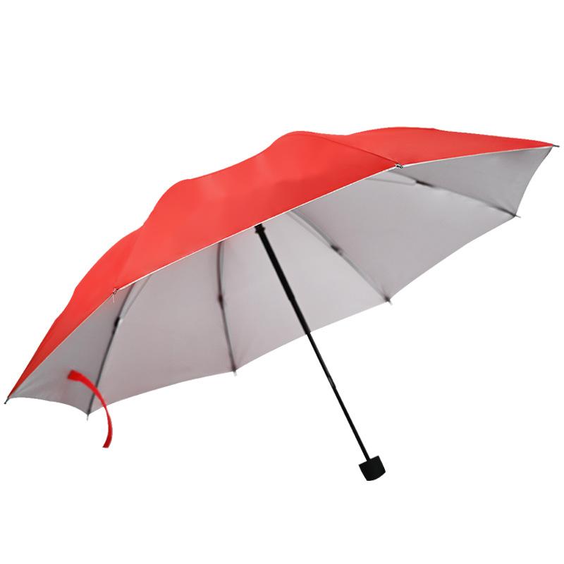 Folding Umbrella 1