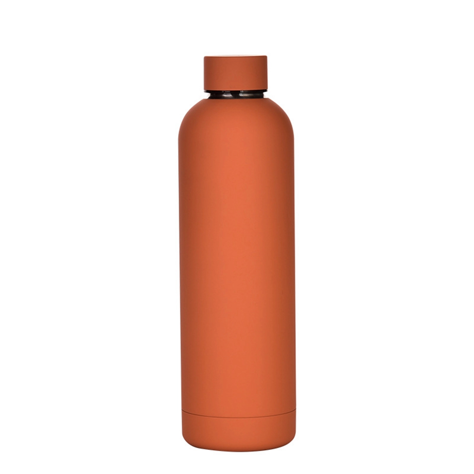 17 OZ Vacuum Insulated Stainless Steel Water Bottle 20