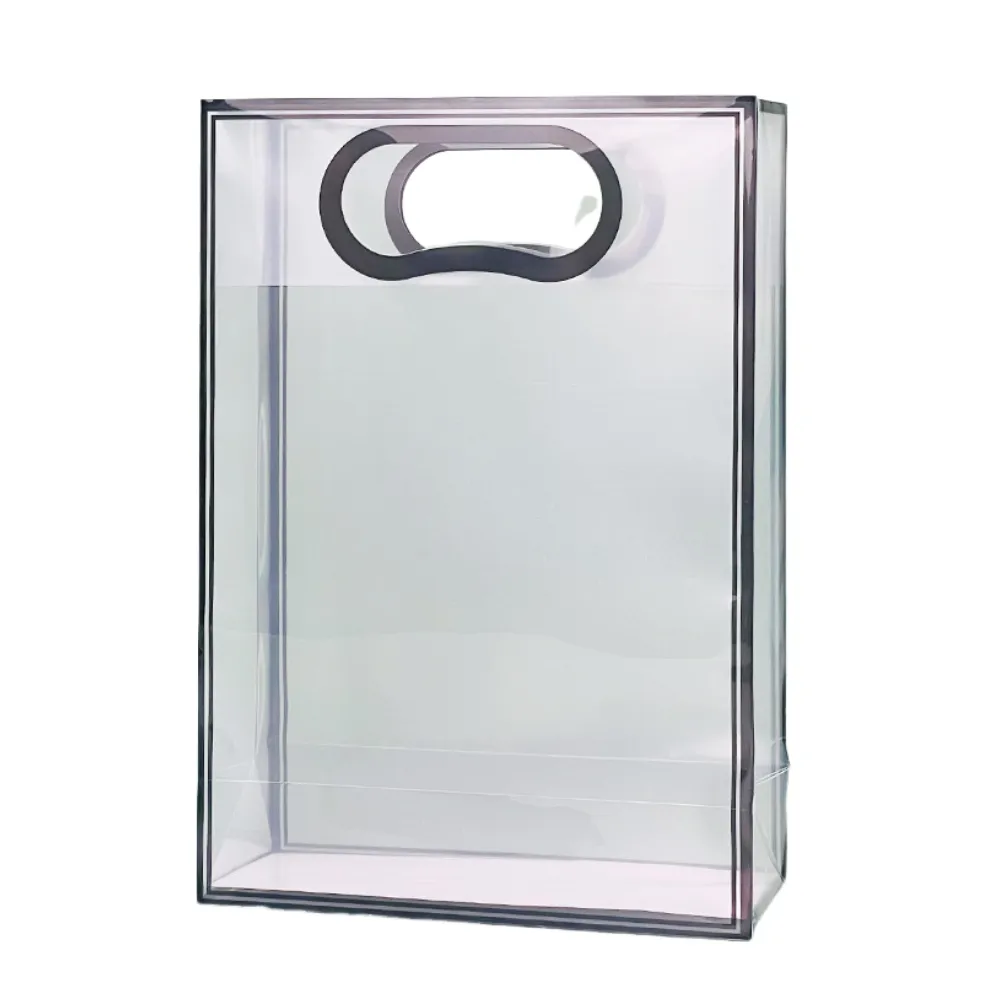 Clear PP Gift Bag 2