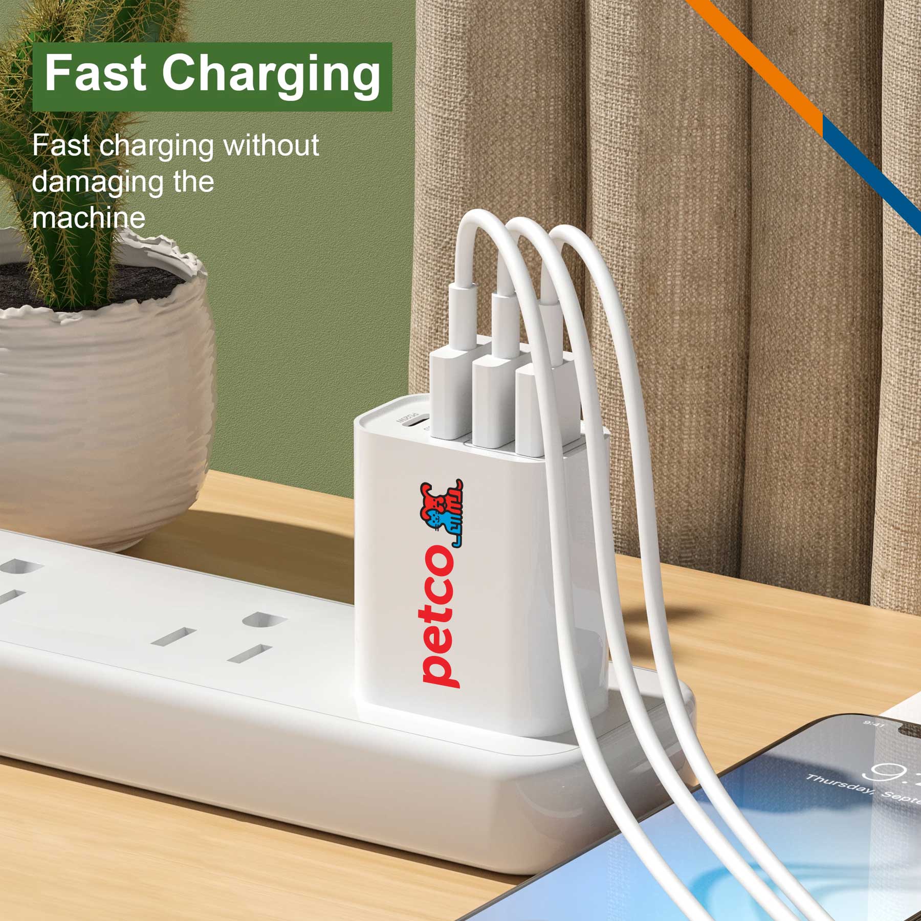 Picas 12W Wall Charger 2