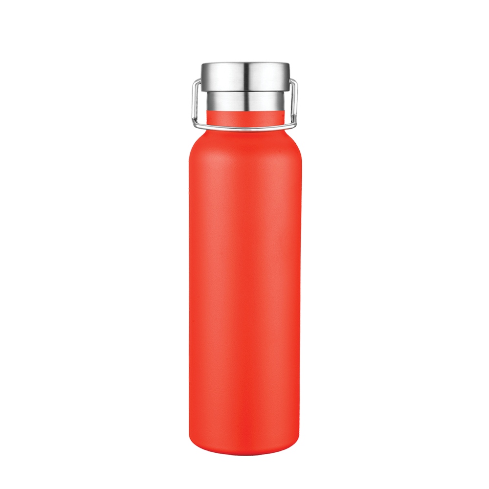 Slate 20oz Vaccuum Bottle