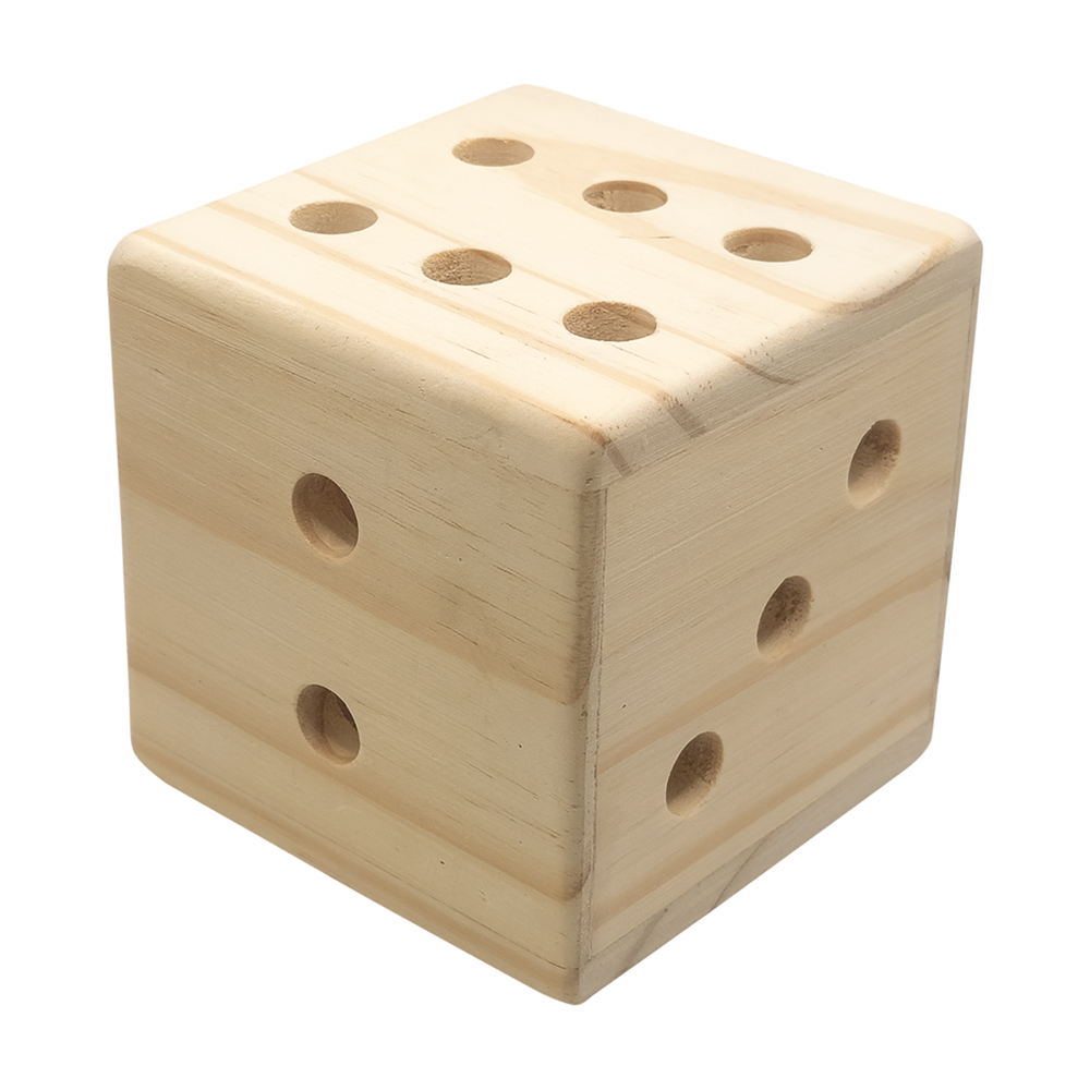Giant Dice Pen Holder 4