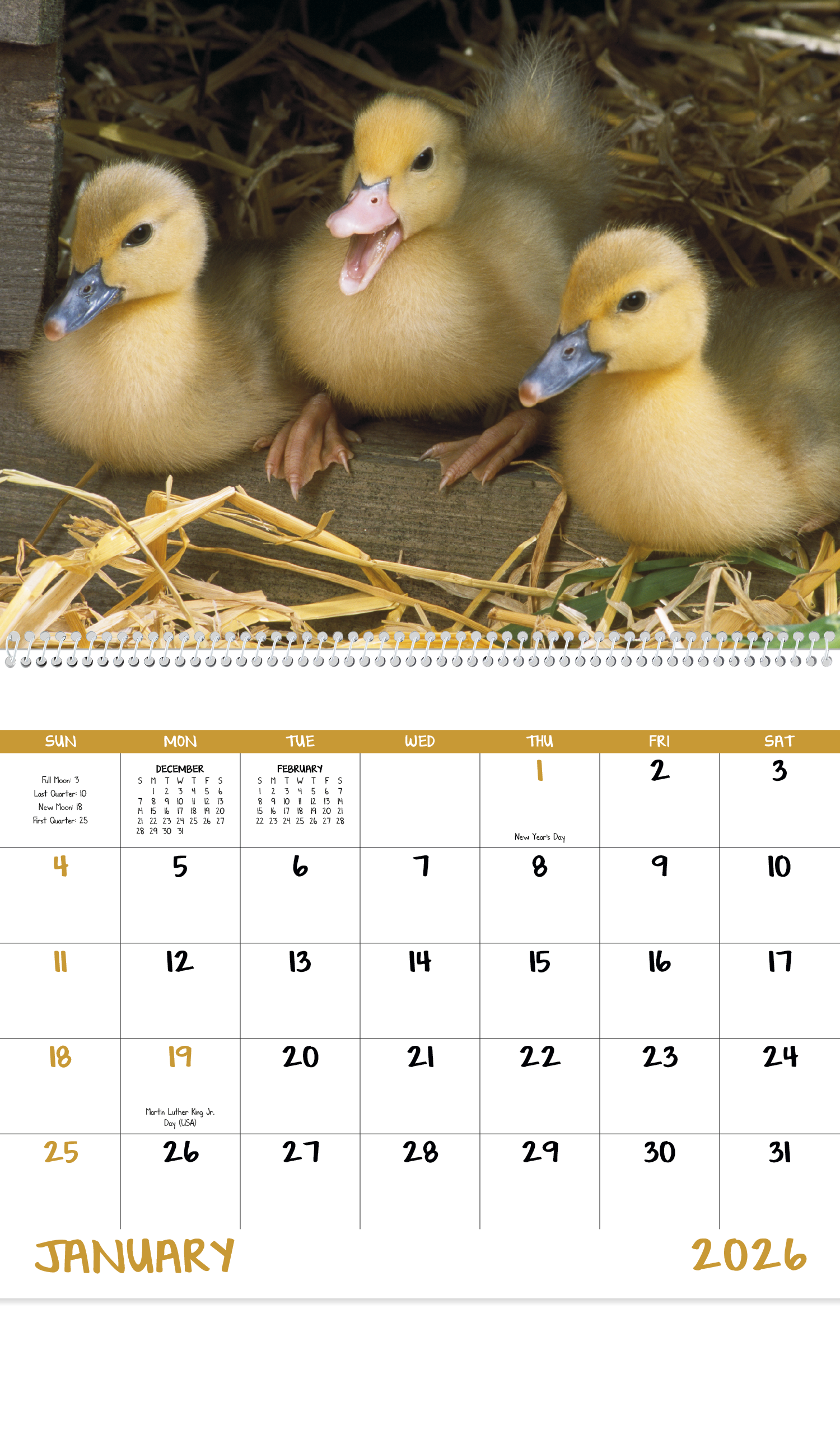 Good Value™ Baby Farm Animals - Spiral Calendar 30