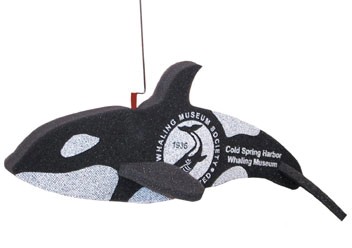 Killer Whale on a leash 11