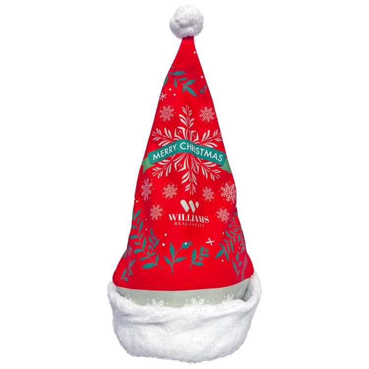 Full Color Santa Hat 2