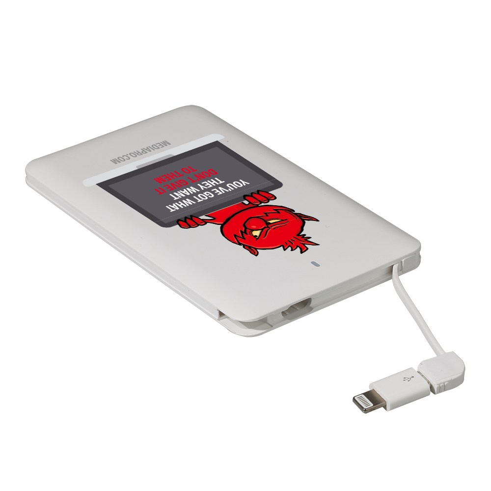 Slim Pocket Power Bank with Cable & Lightning Adapter 8