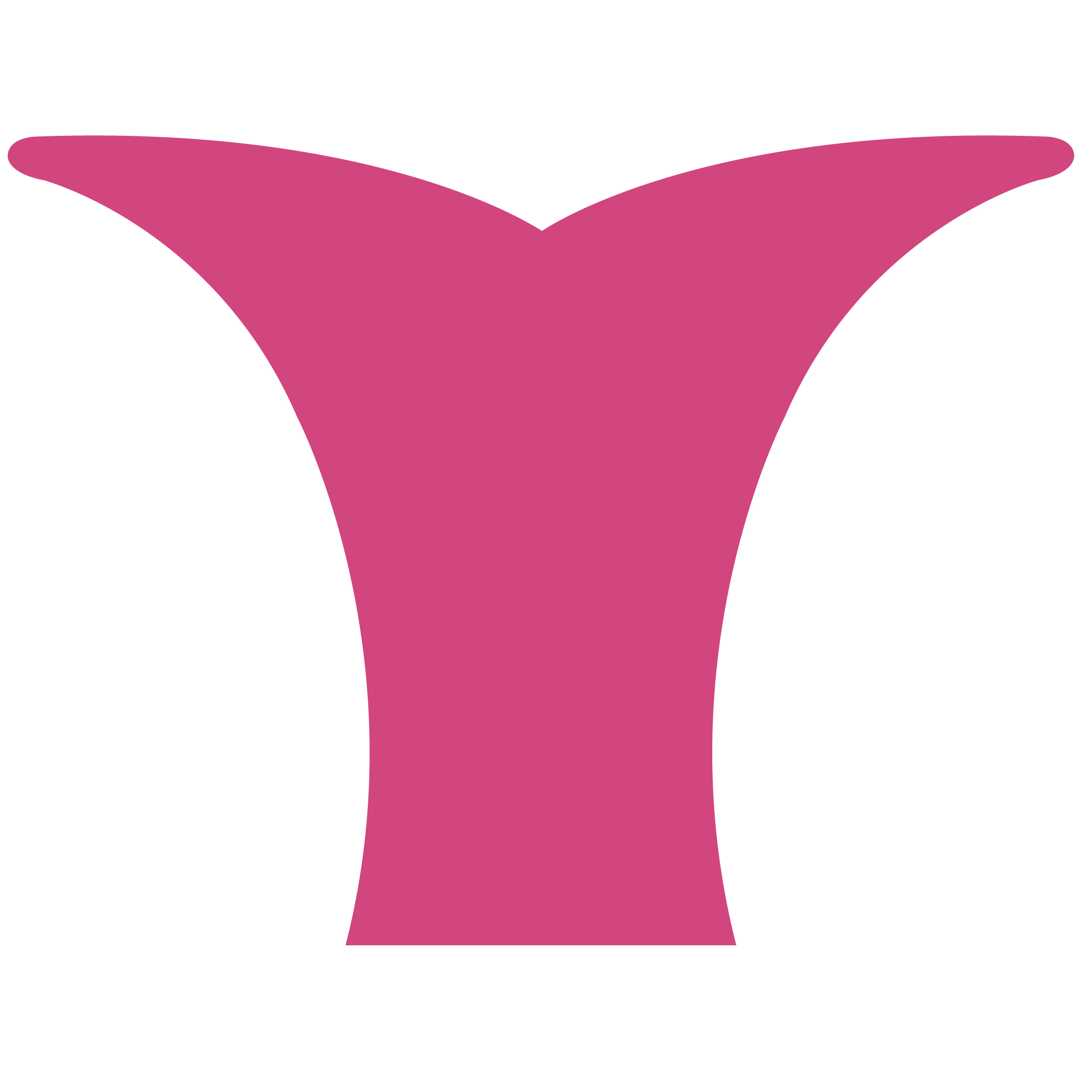 Whale Tail 14