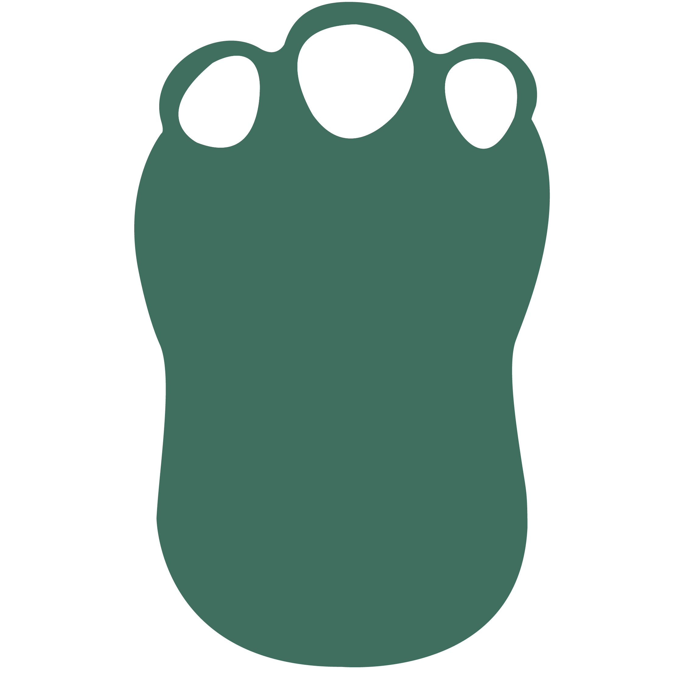 Foam Dinosaur Foot Waver 16