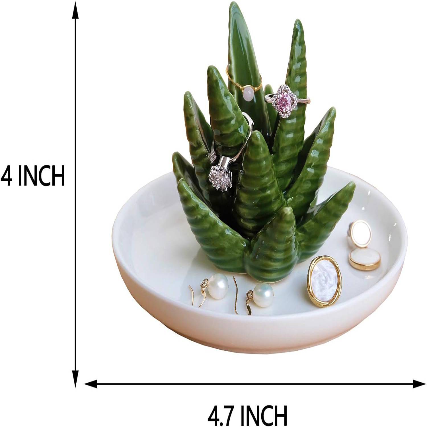 Cactus Decorative Dish Tray 4
