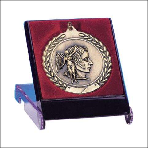 Lined Medal Presentation / Display Case 2