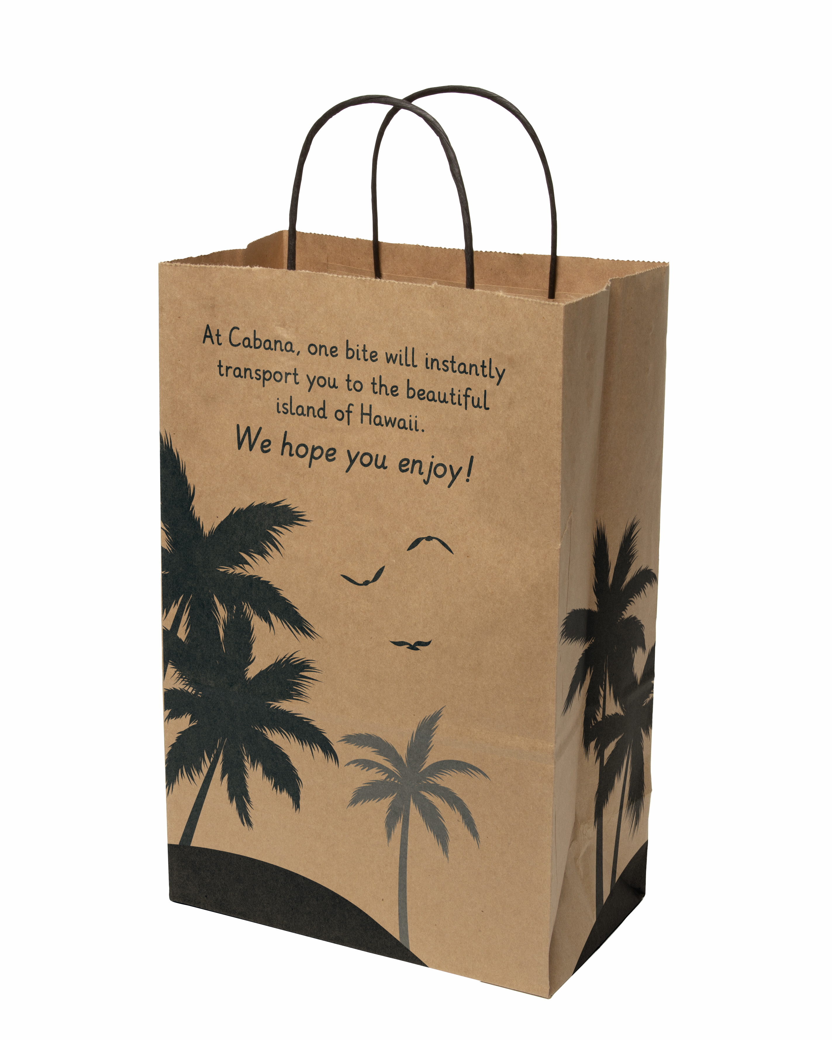 Multi-sided Full Color Natural Shopper Paper Bag - Black Handle (8.5" x 13.375" x 5") 2