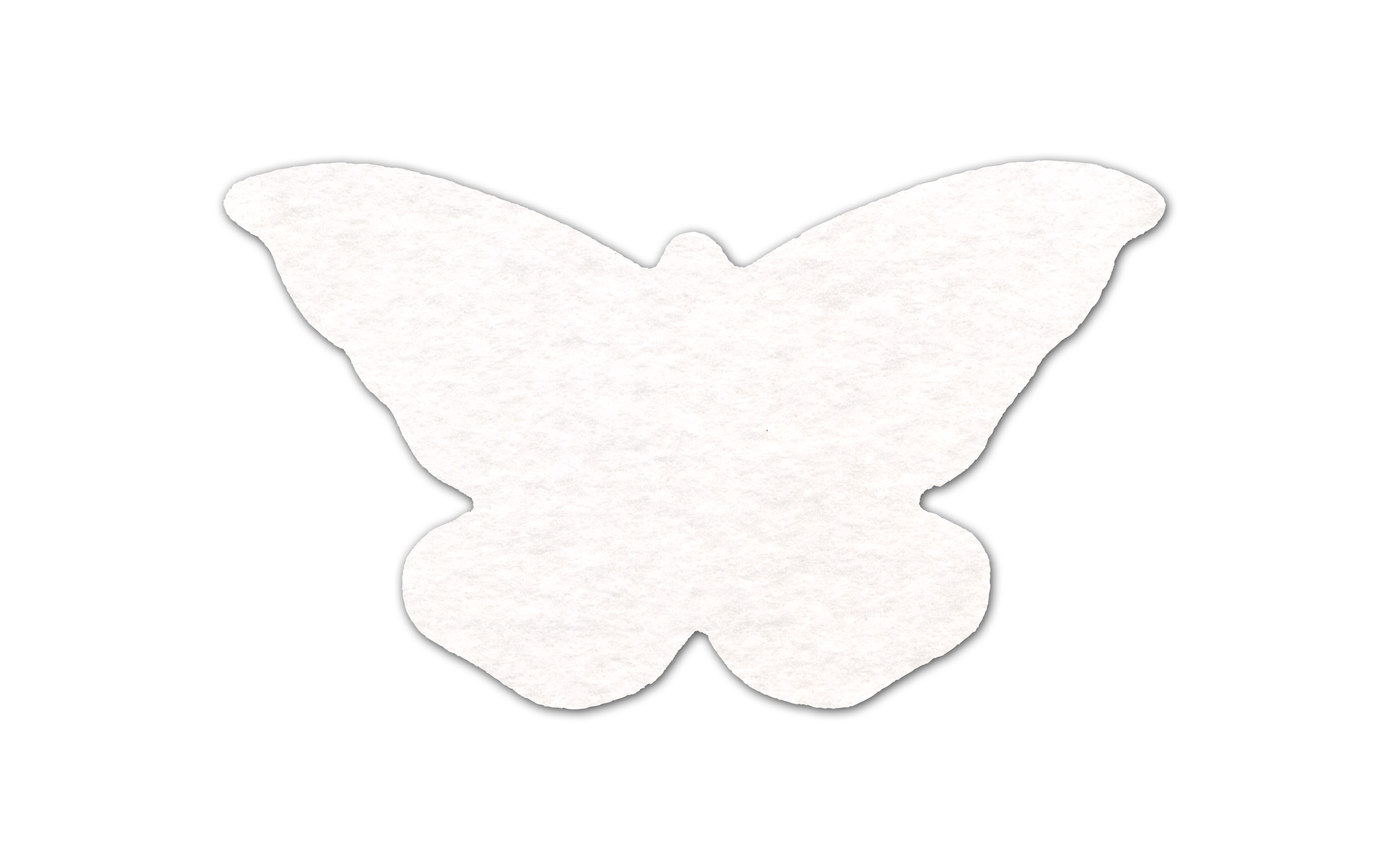 Butterfly Shammy Coaster 8
