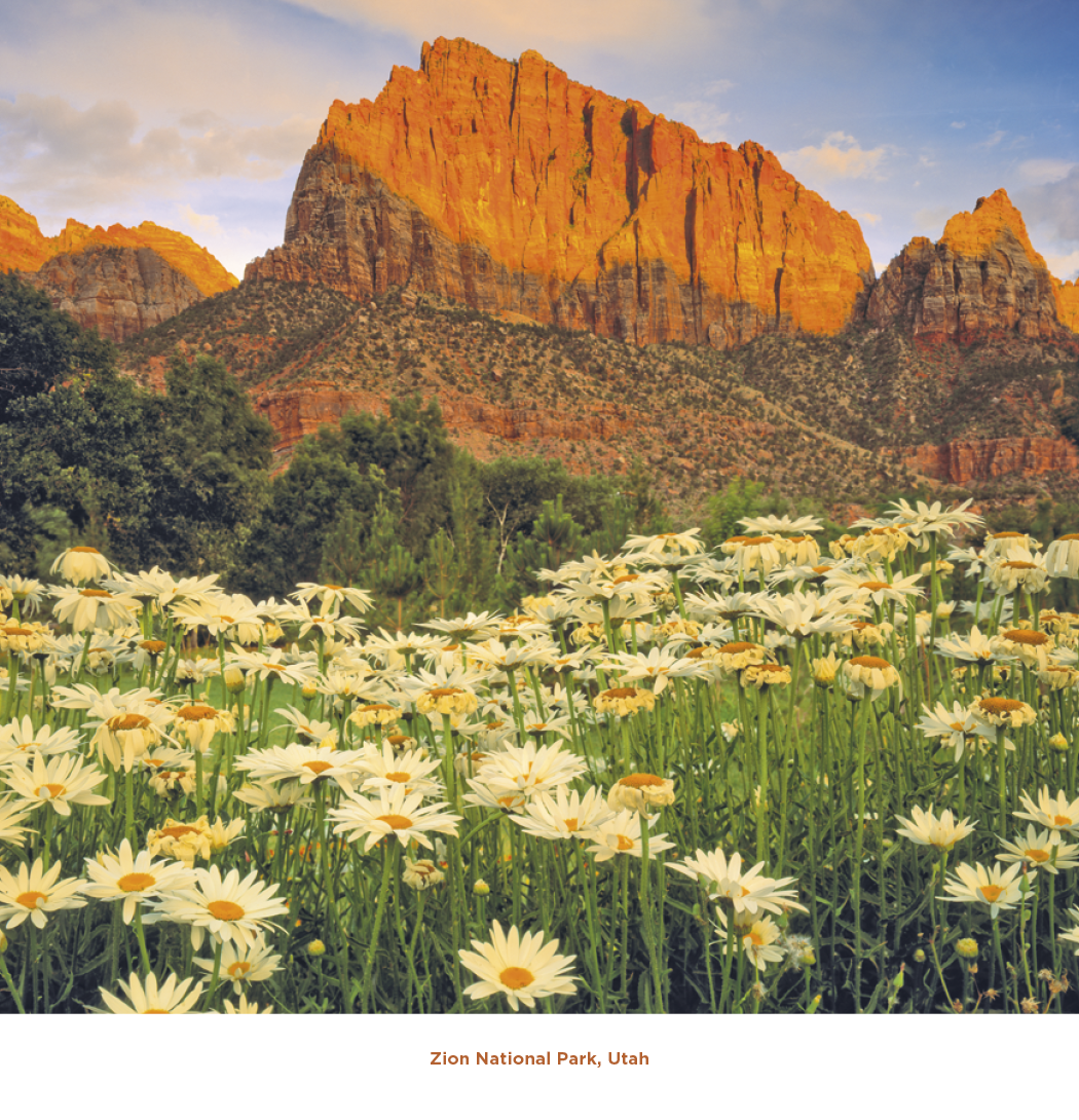 Triumph® Calendars Beautiful America Calendar 24