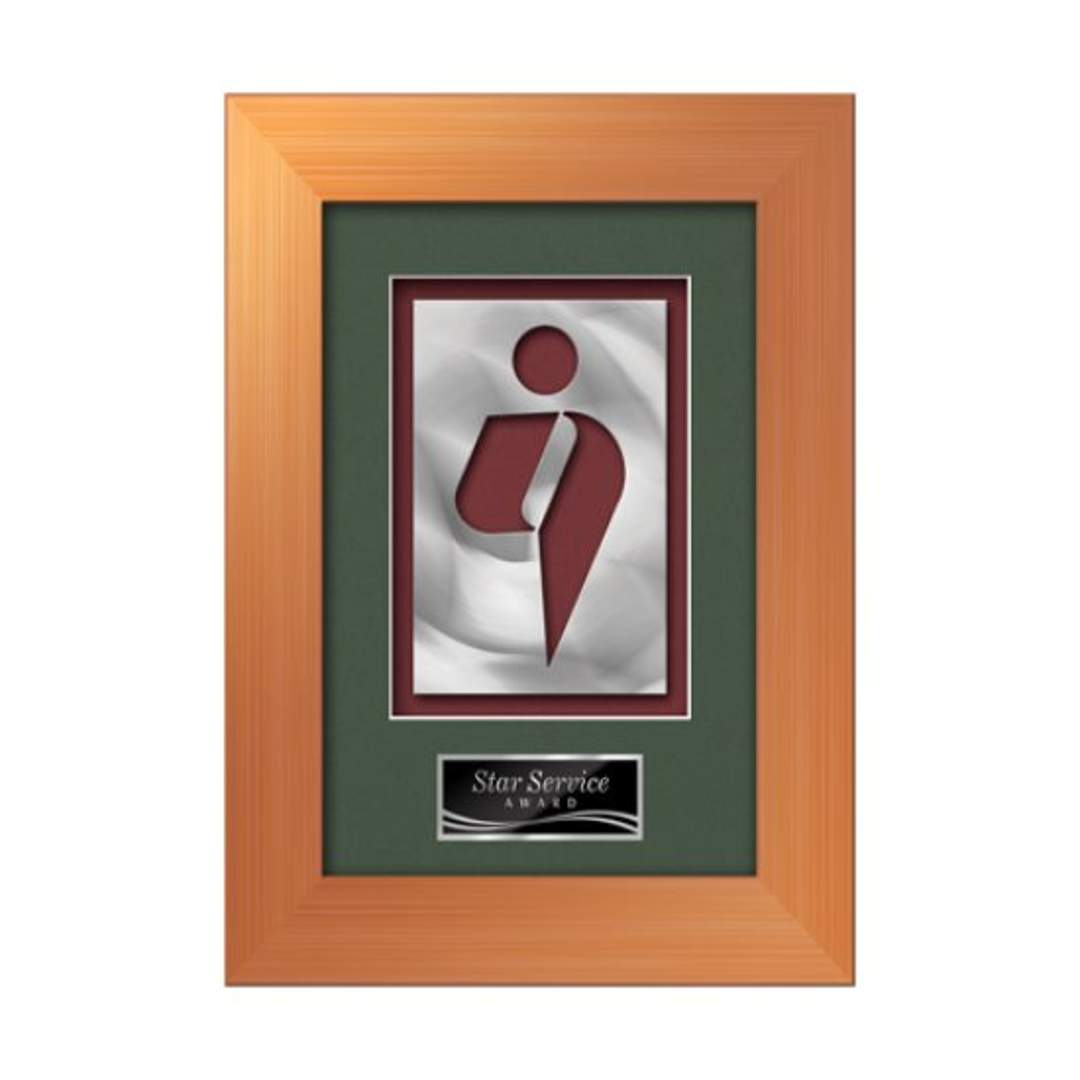 Premier Aquashape™ Award - Bronze 7