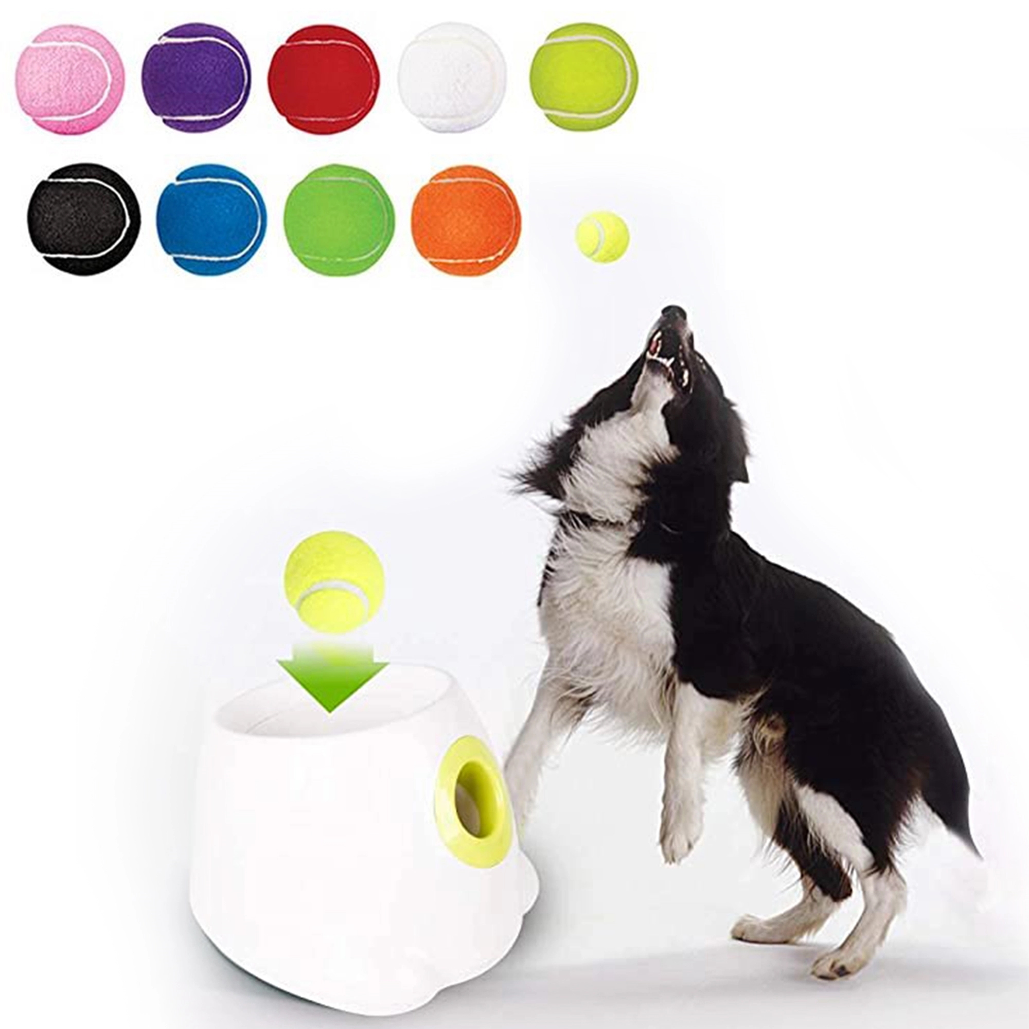 Tennis Ball Dog Toy