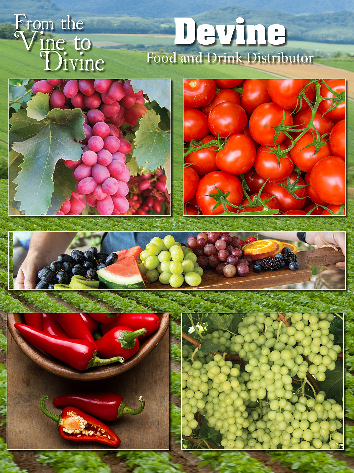Full Color Variable Print Poster-20x29 8