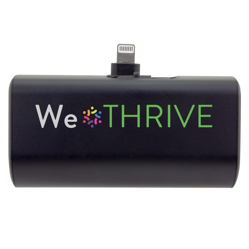 Dual Plug Power Bank 18