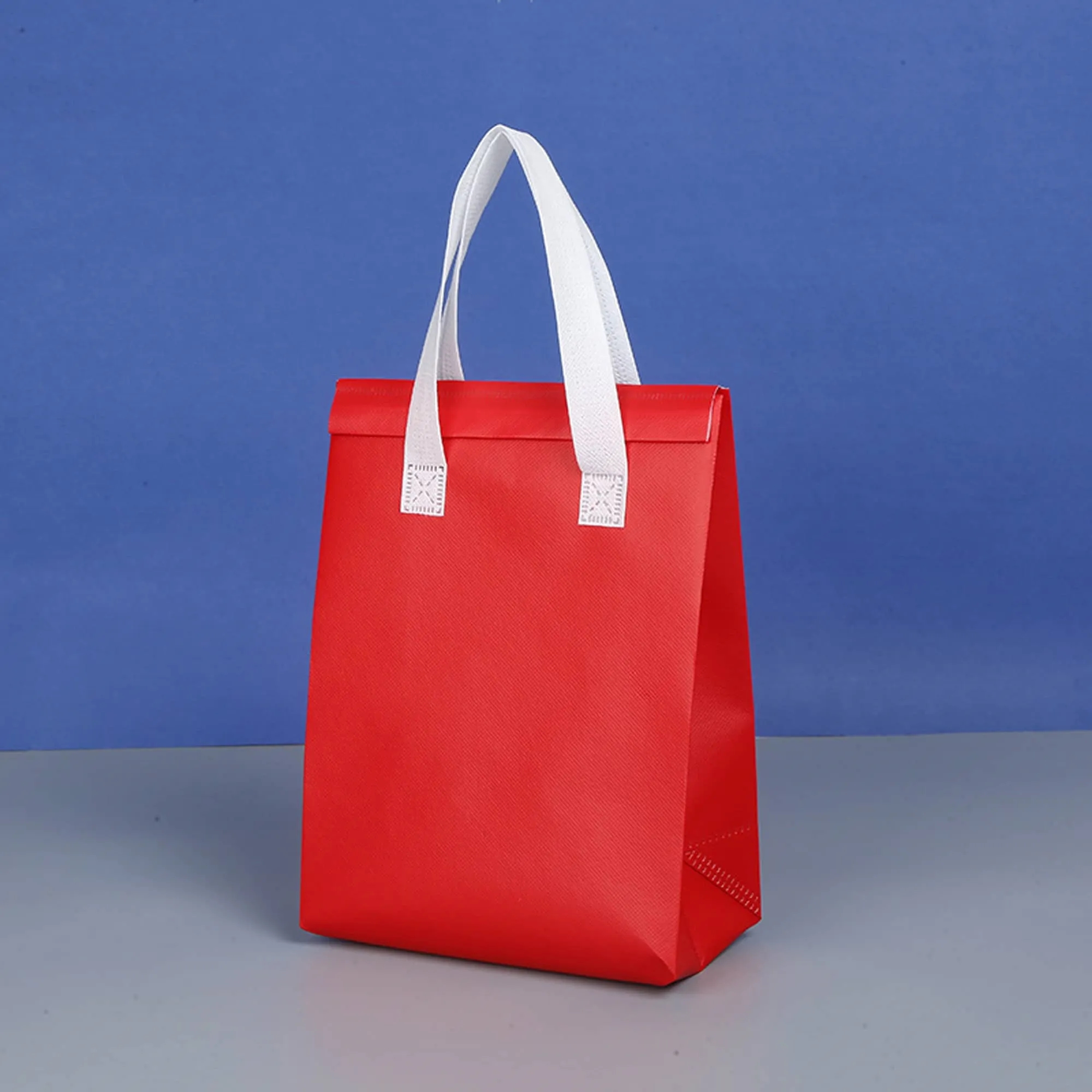 Insulated Tote Bag Multiple Sizes Available 7