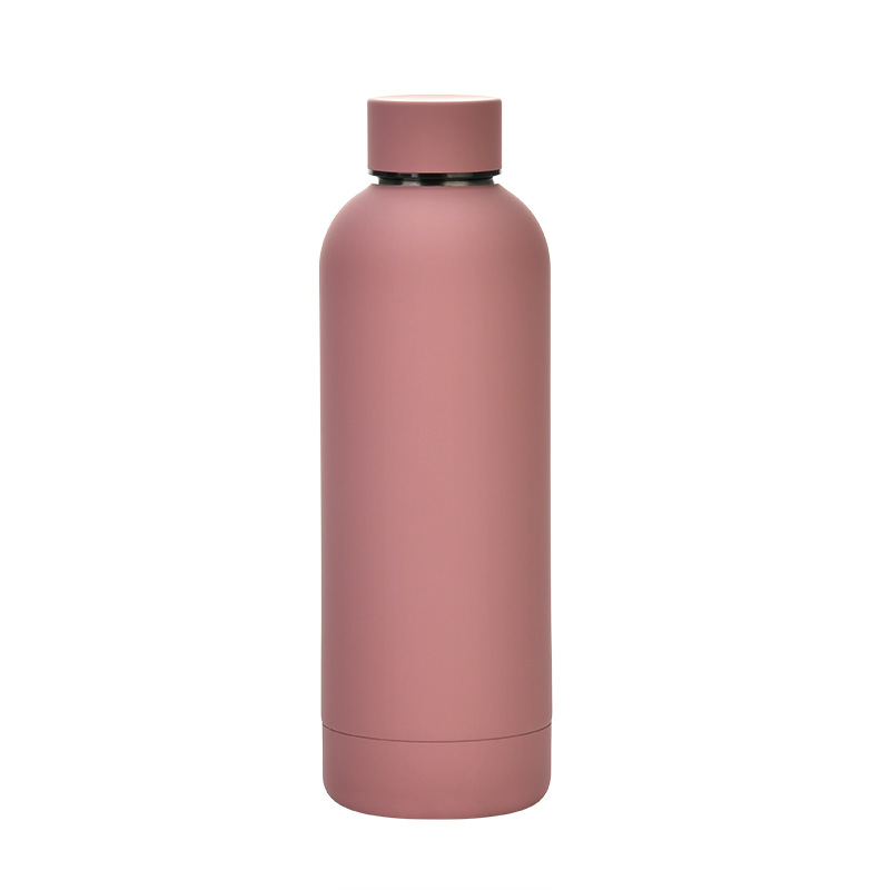 Stainless Steel Water Bottle 2